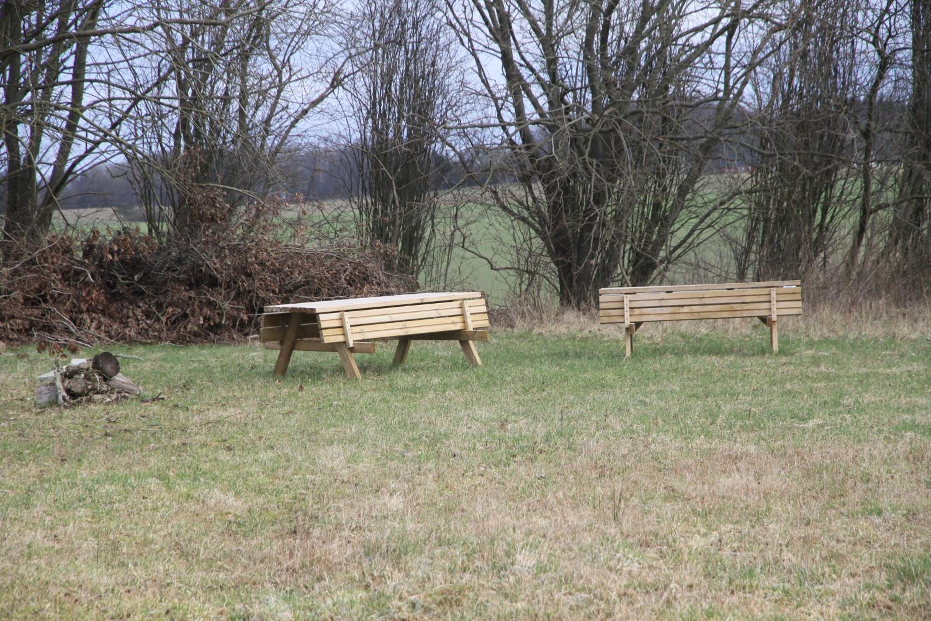 Photo 45