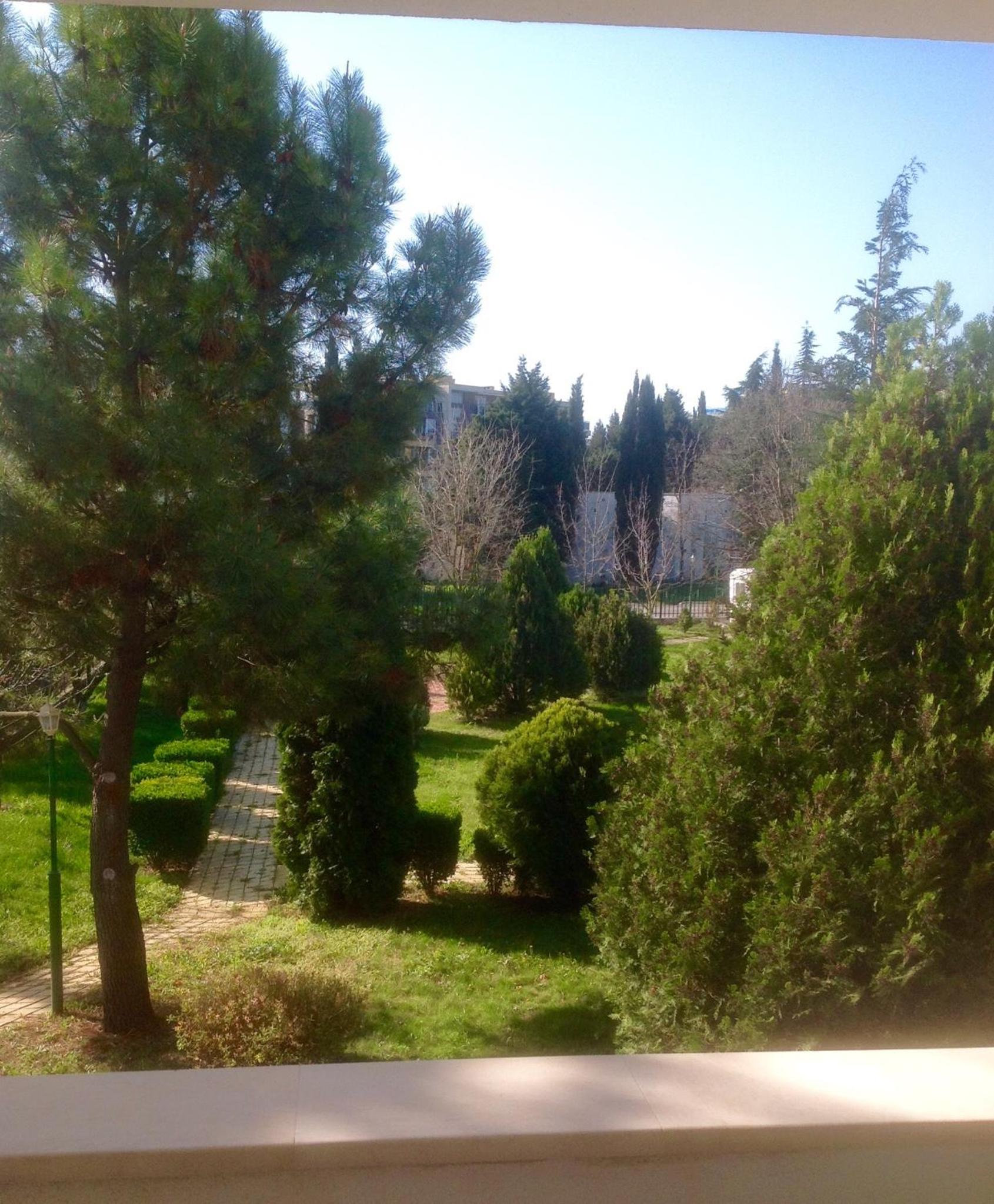 Photo 49