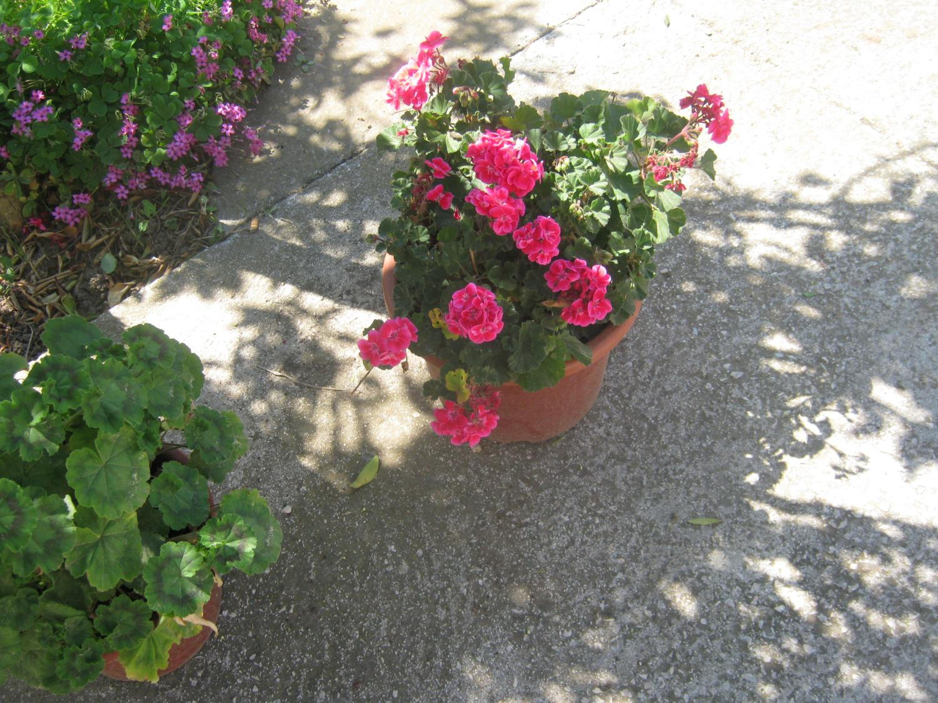 Photo 45