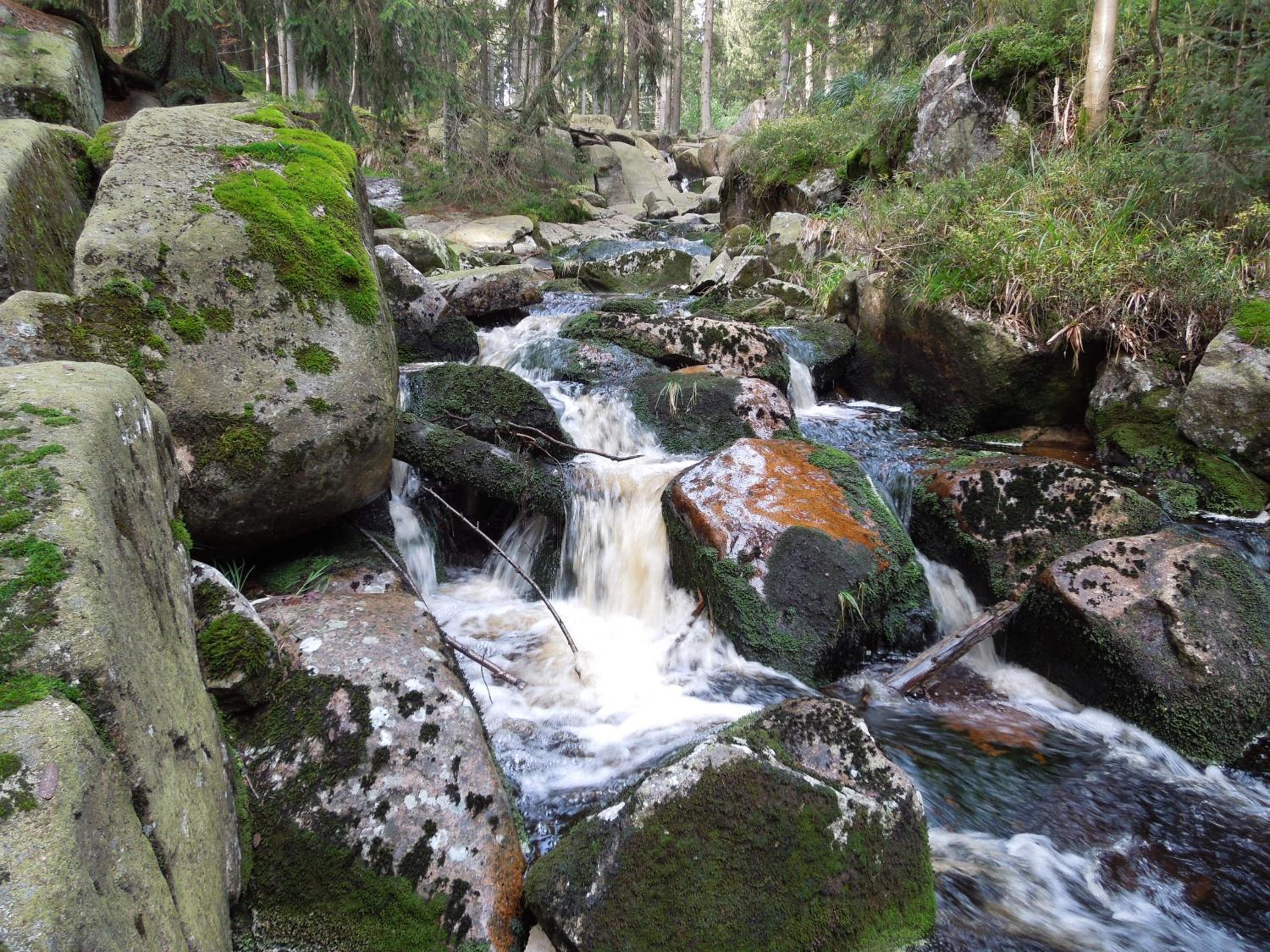 Photo 47
