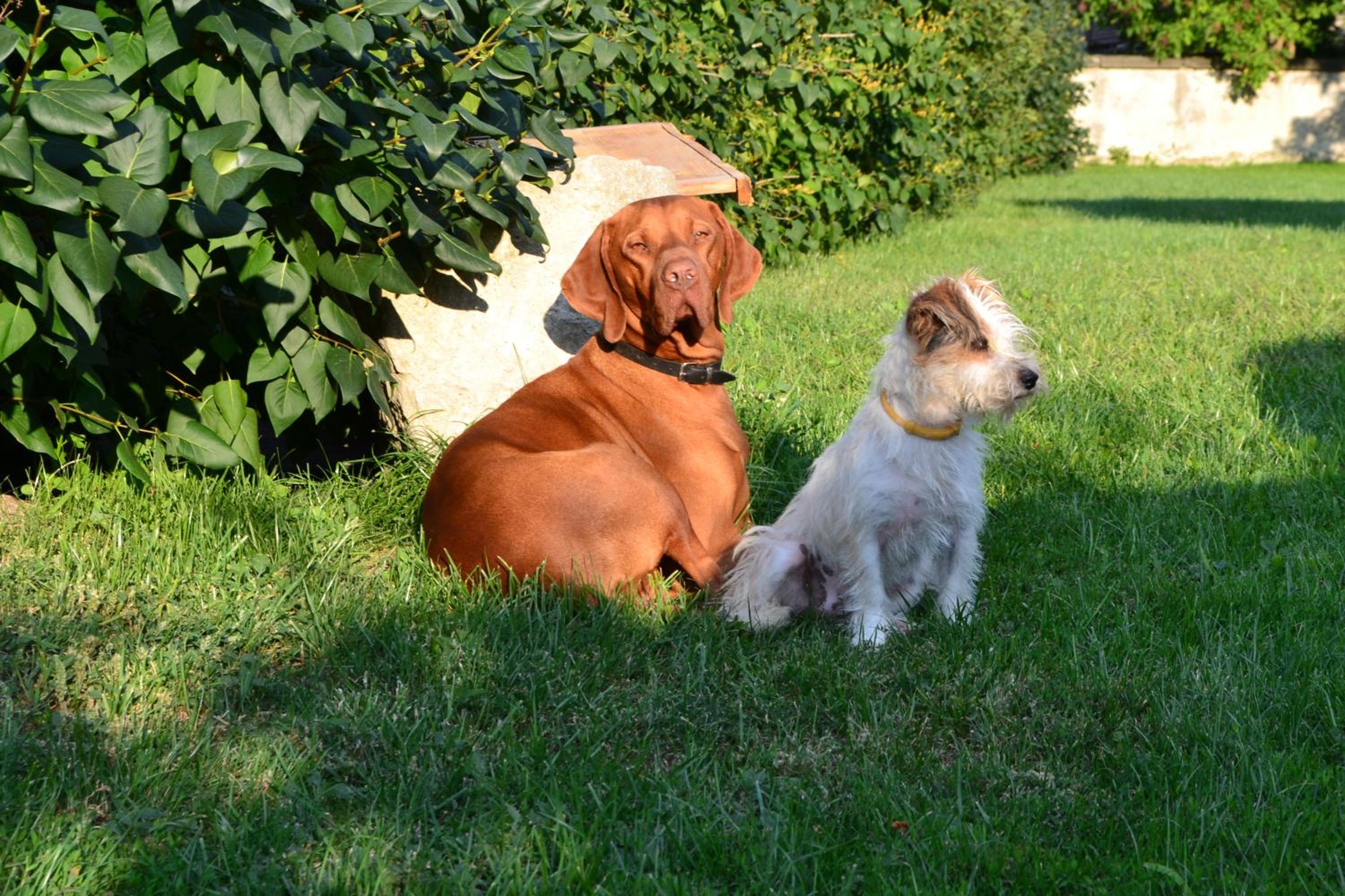 Photo 46