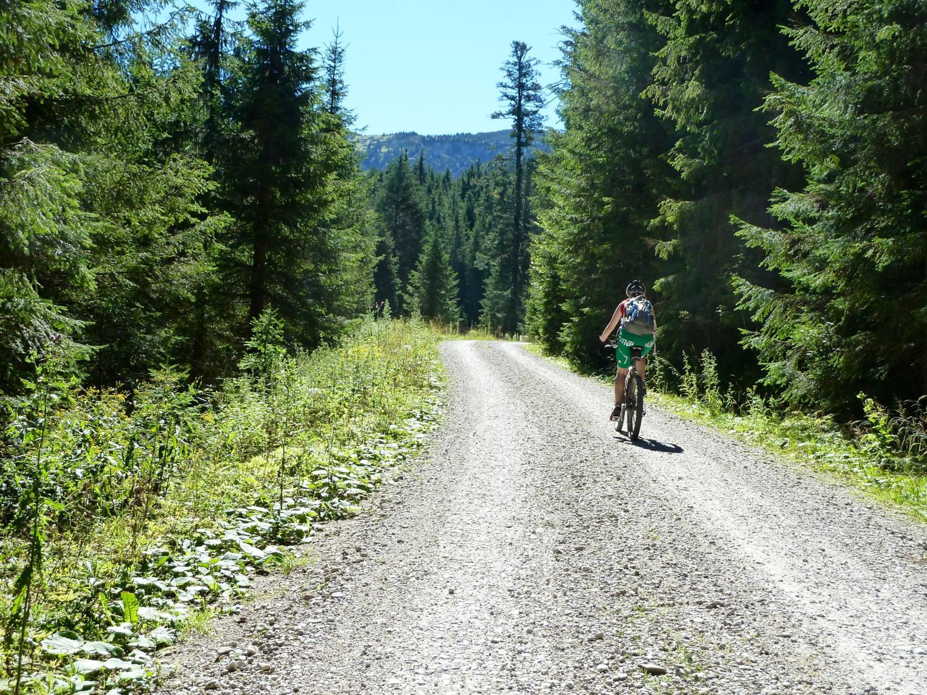 Photo 30