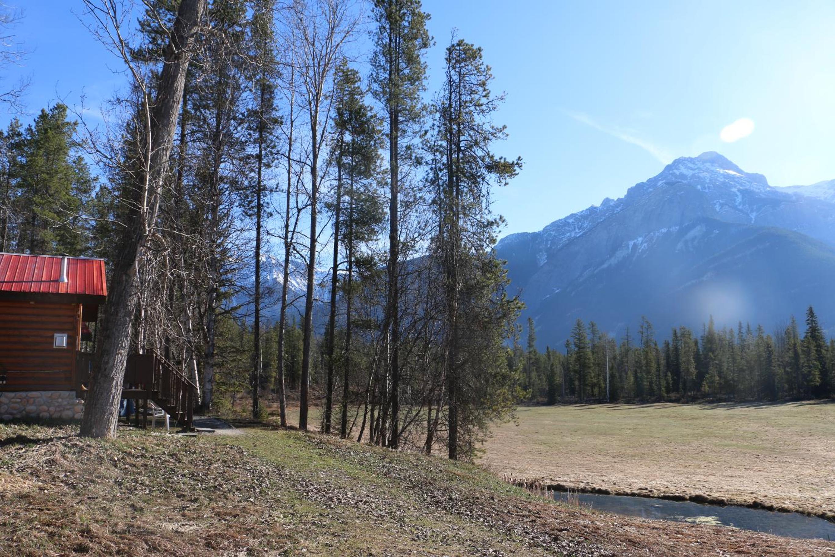 Golden Vacations - Rocky Mountain Cabins and Home - Property Image 10
