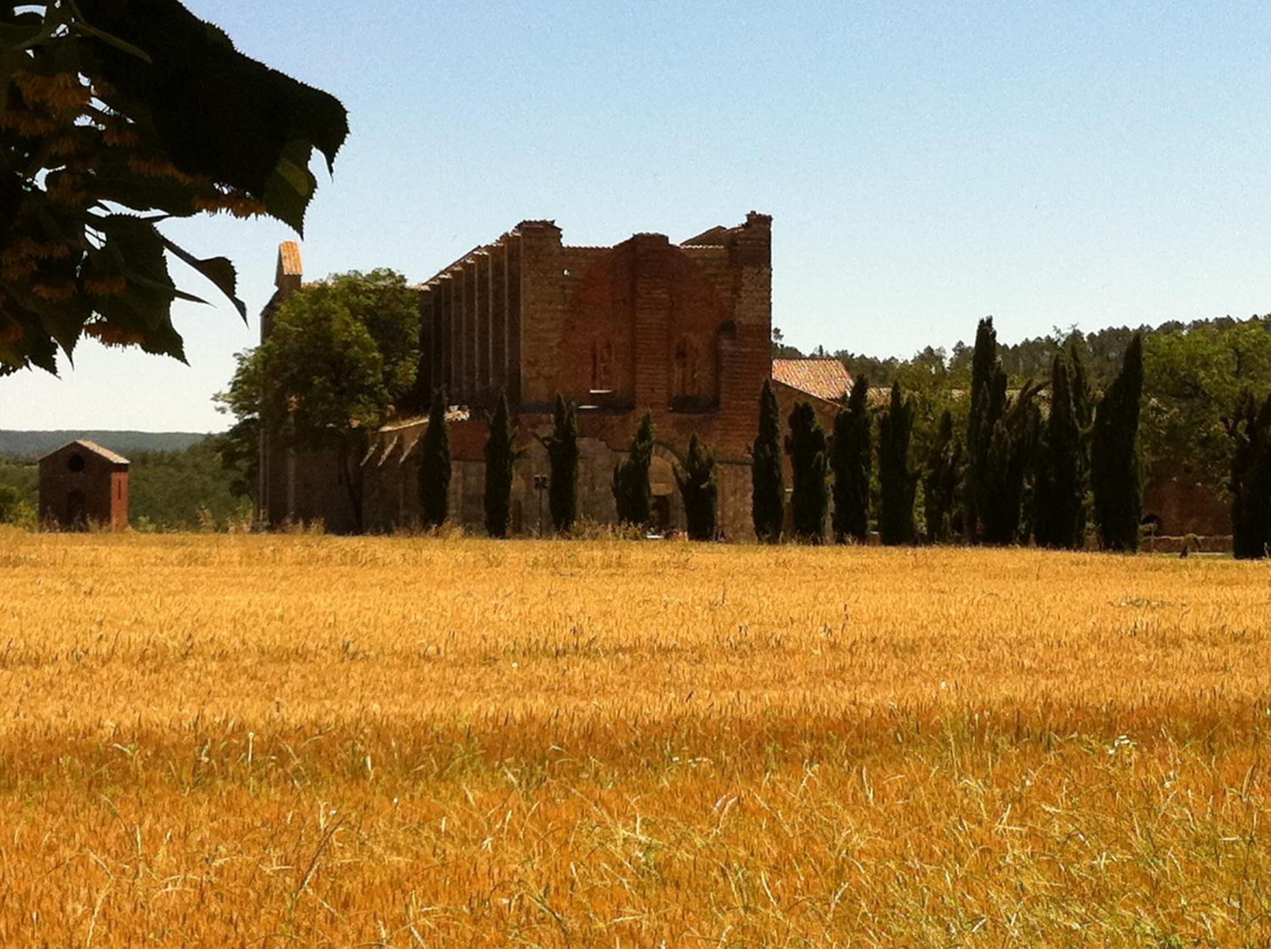 Borgo Rosia Holiday House view 5