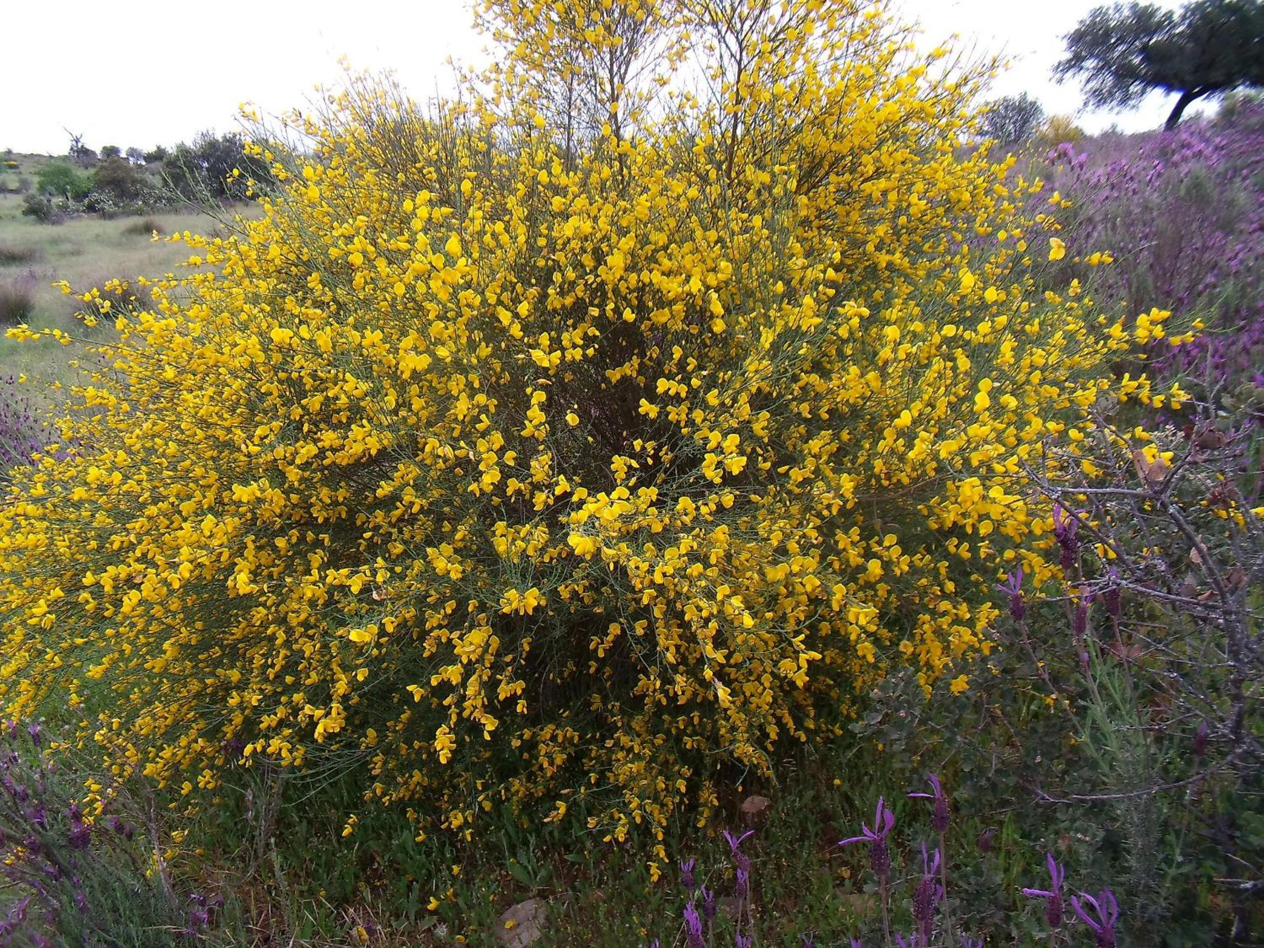 Los Montejos & Spa photo 4