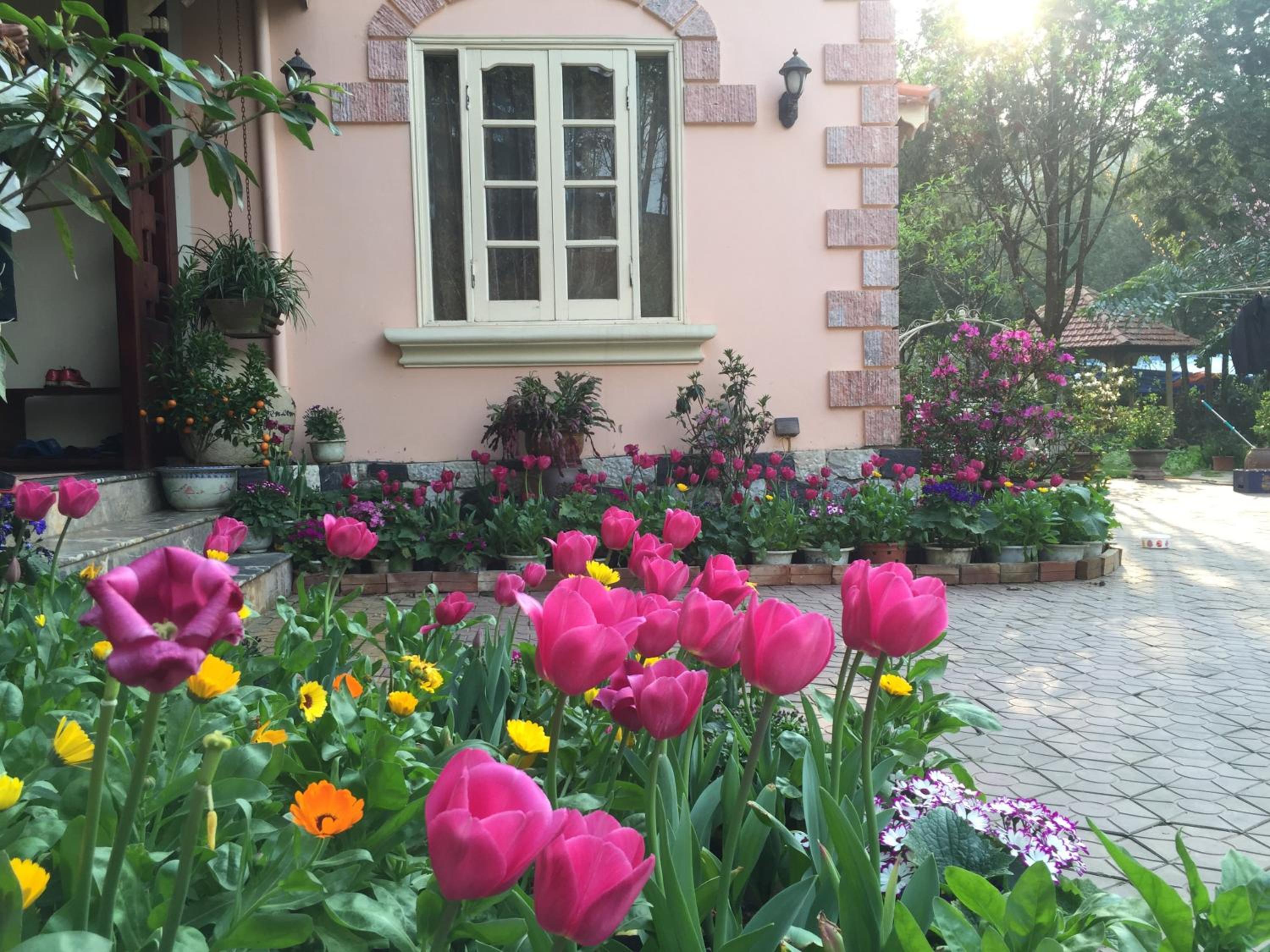 Sapa Garden Bed and Breakfast
