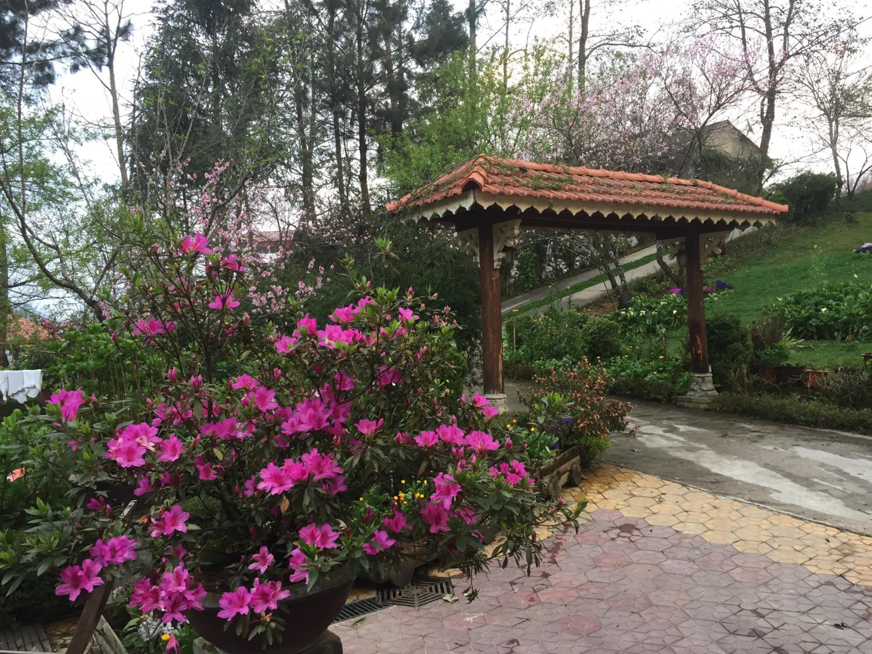 Sapa Garden Bed and Breakfast