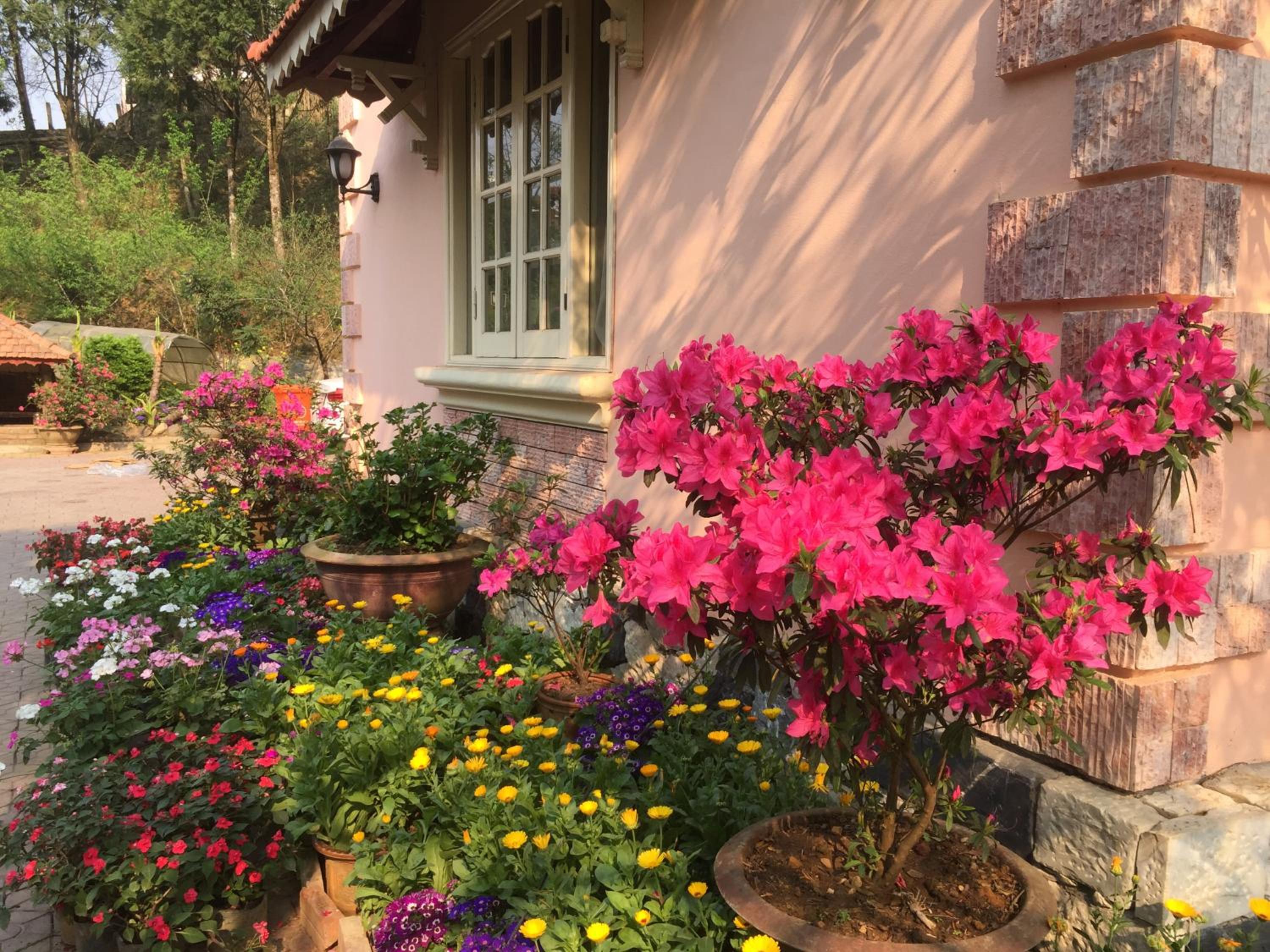 Sapa Garden Bed and Breakfast