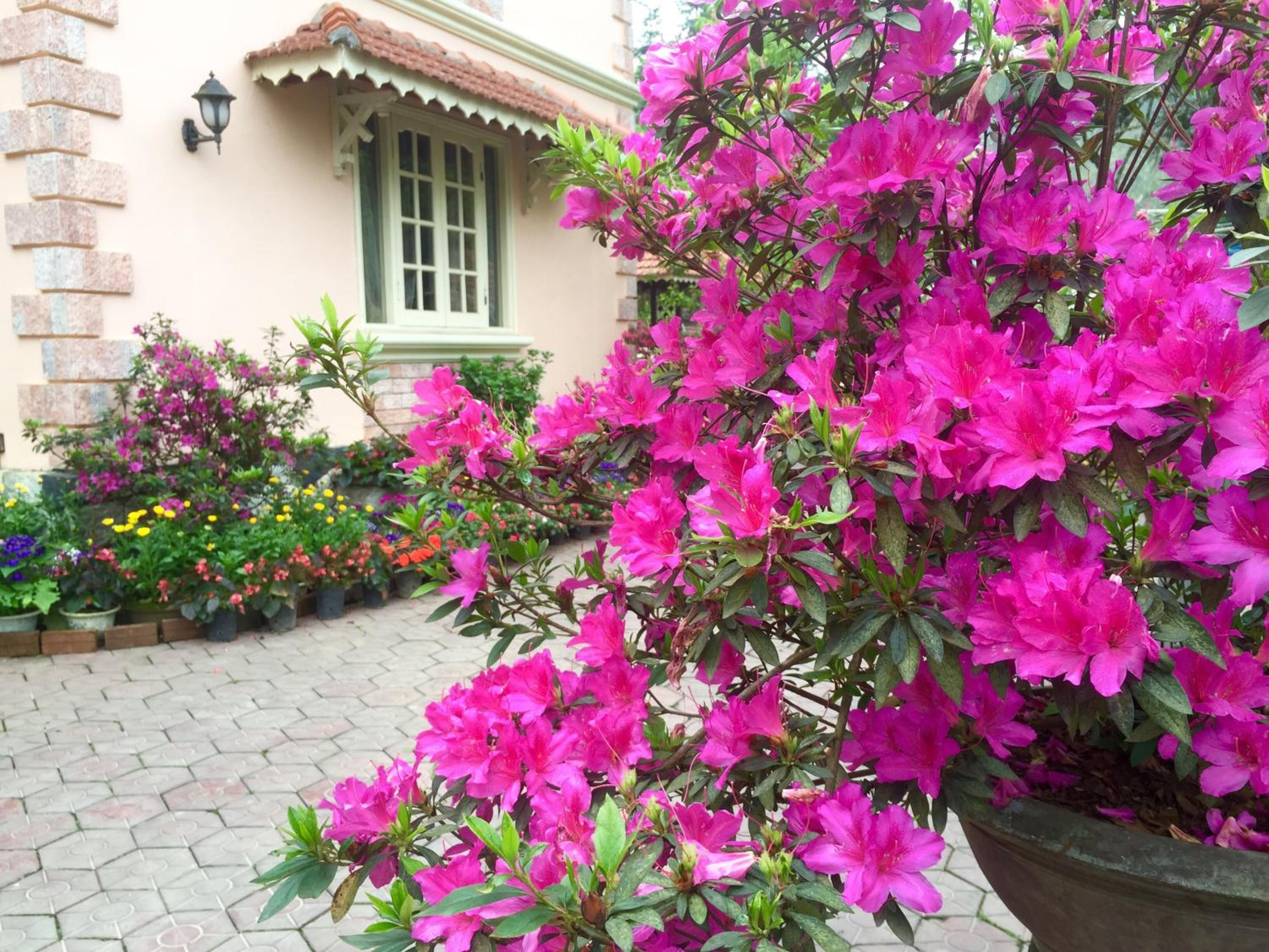 Sapa Garden Bed and Breakfast