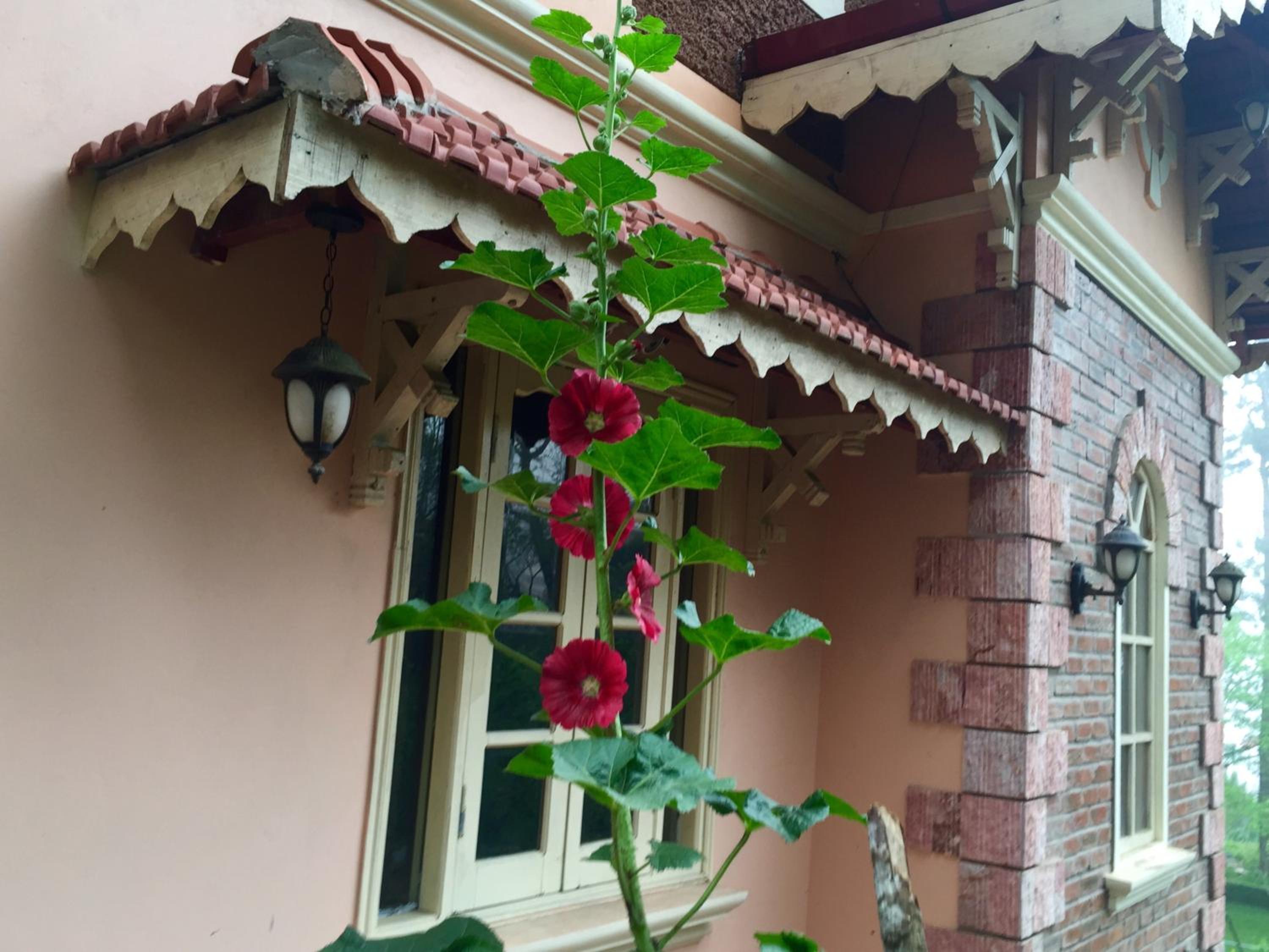 Sapa Garden Bed and Breakfast