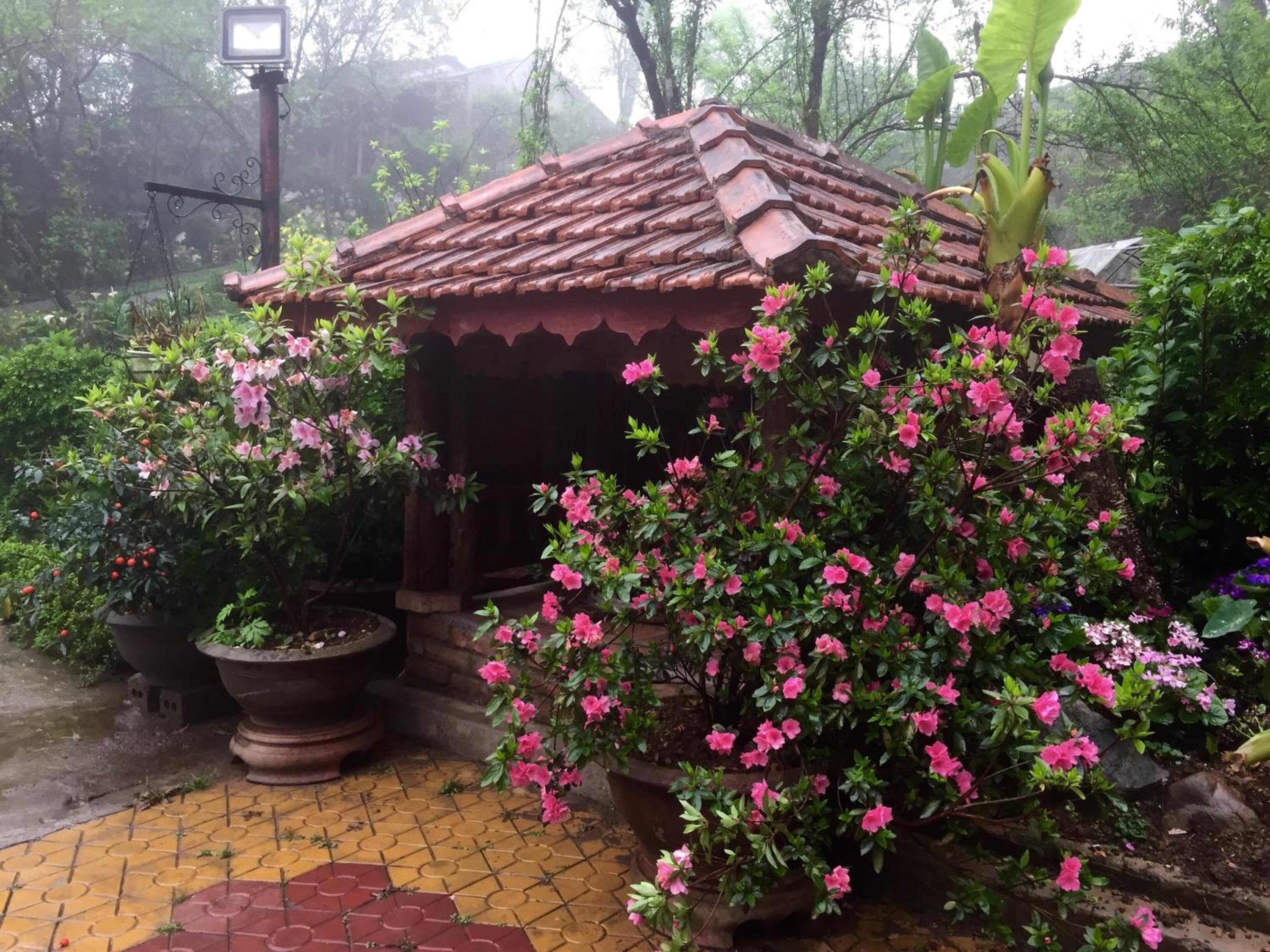 Sapa Garden Bed and Breakfast