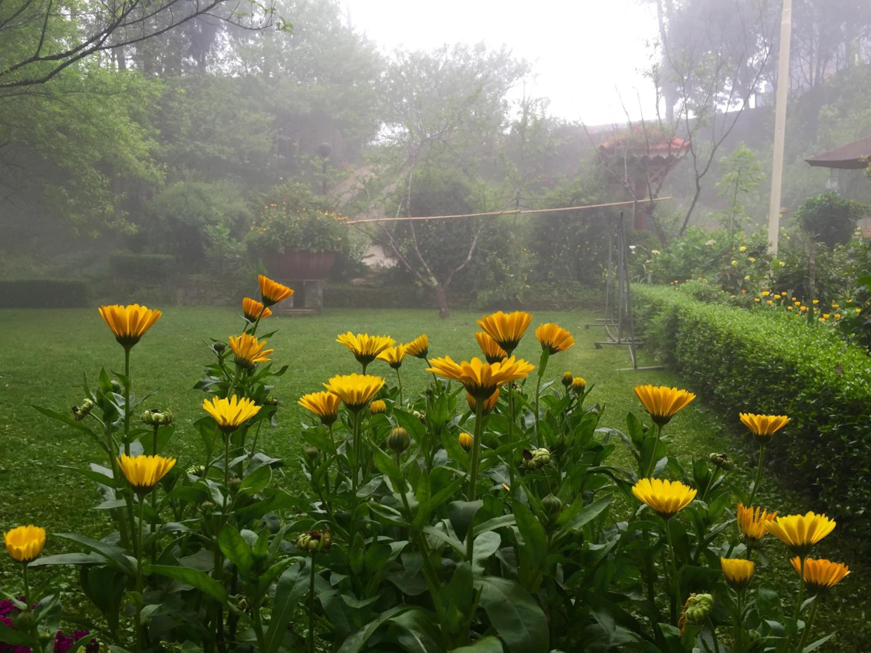 Sapa Garden Bed and Breakfast