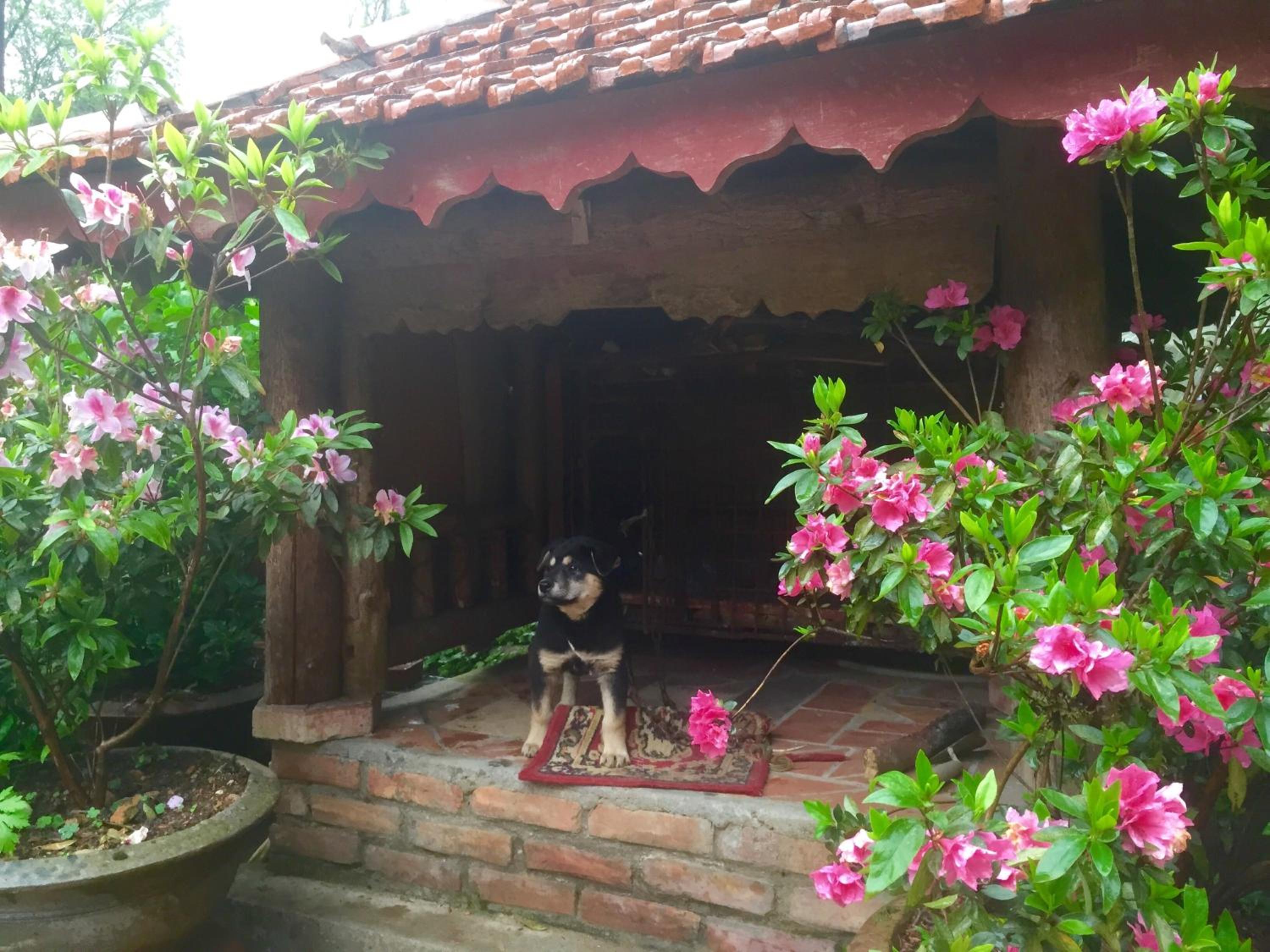 Sapa Garden Bed and Breakfast