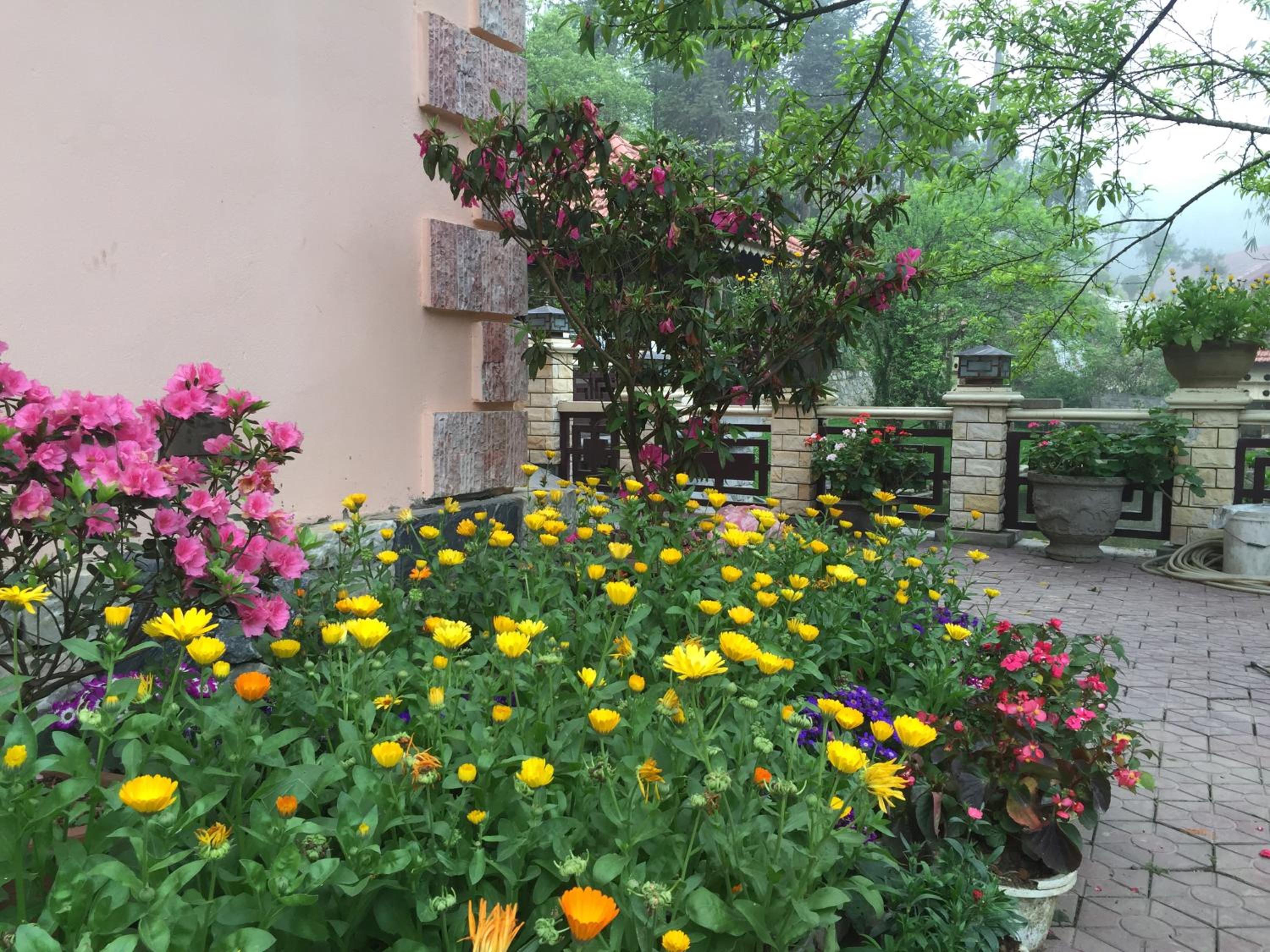 Sapa Garden Bed and Breakfast