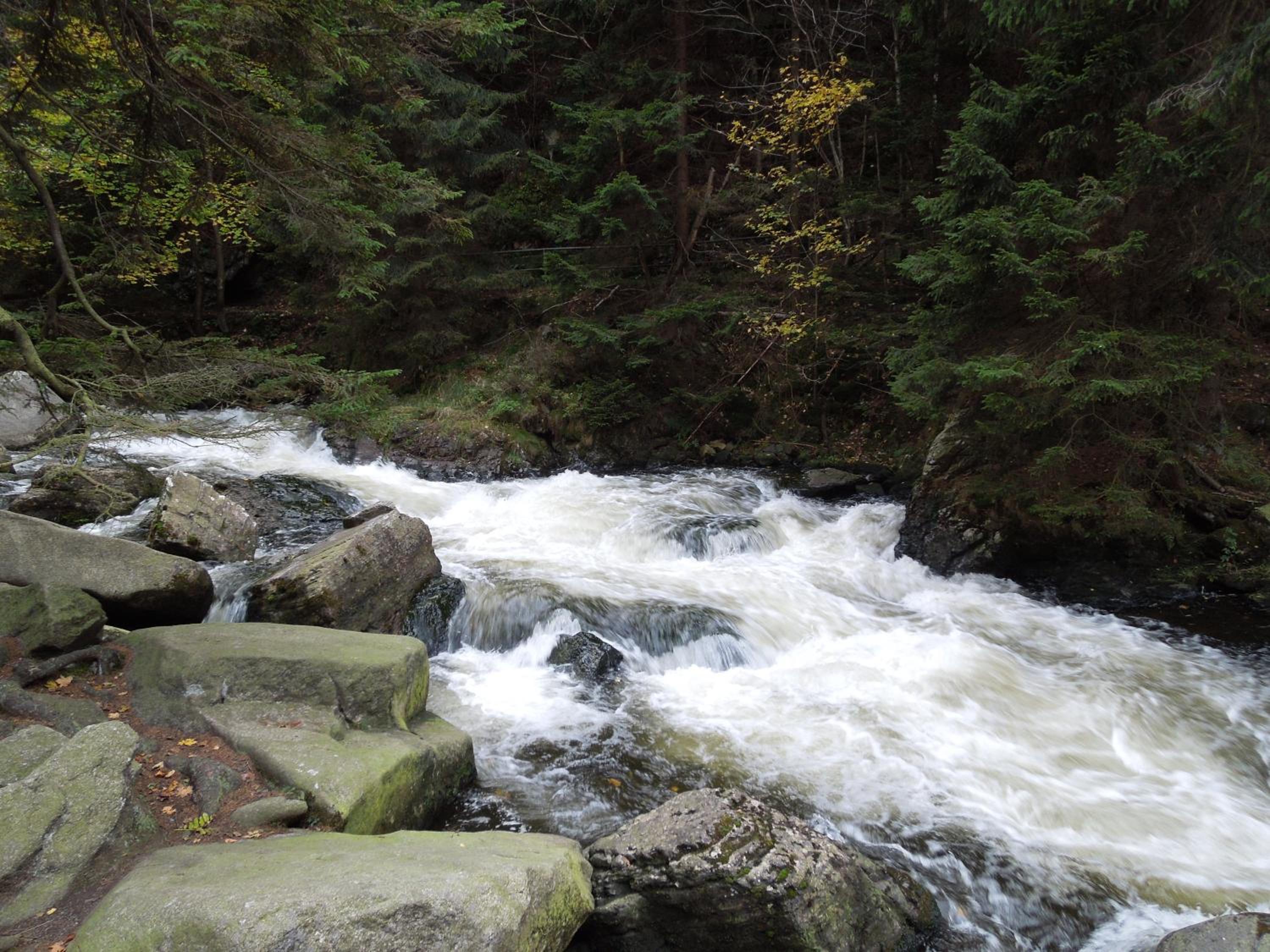 Photo 48