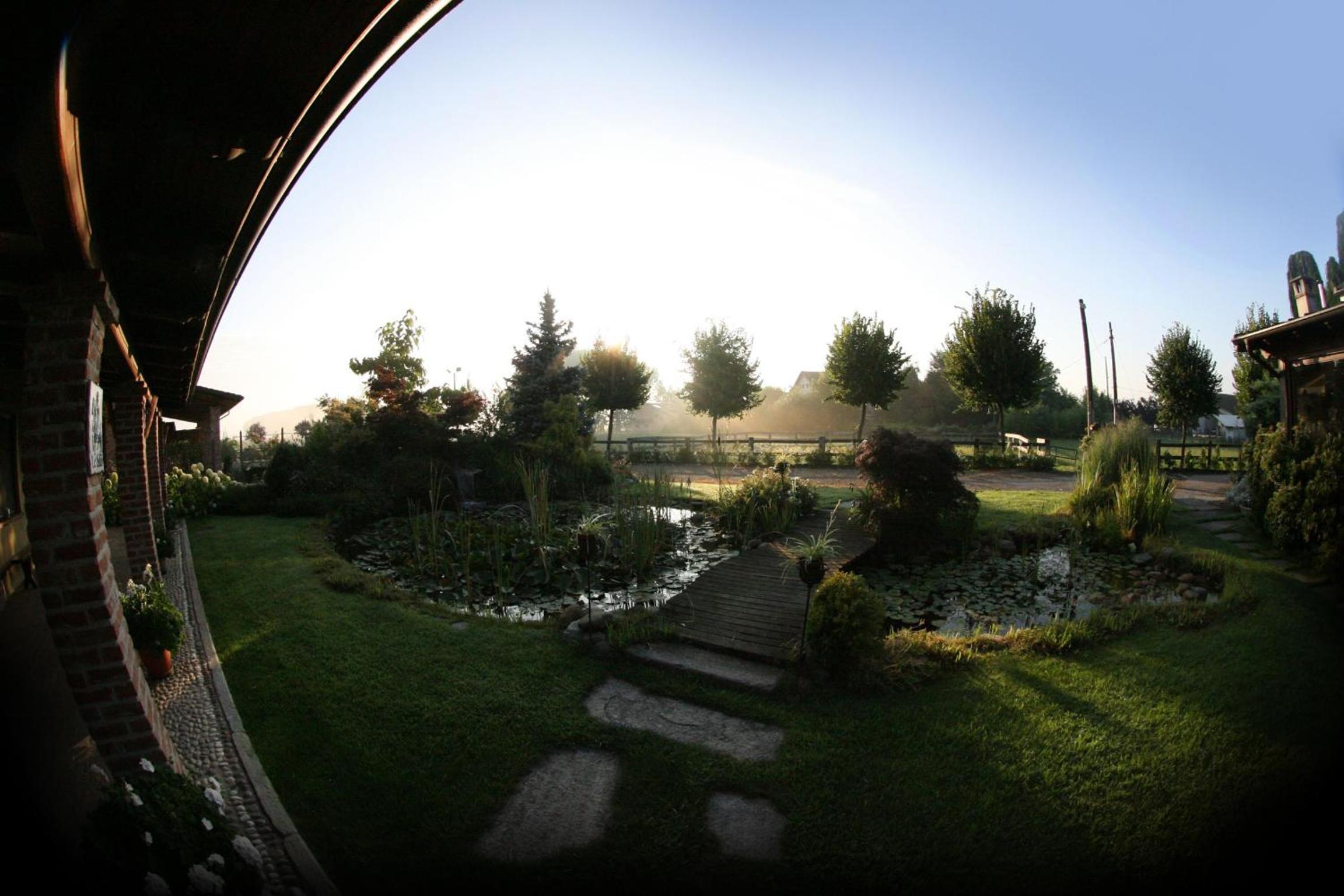 Photo 51