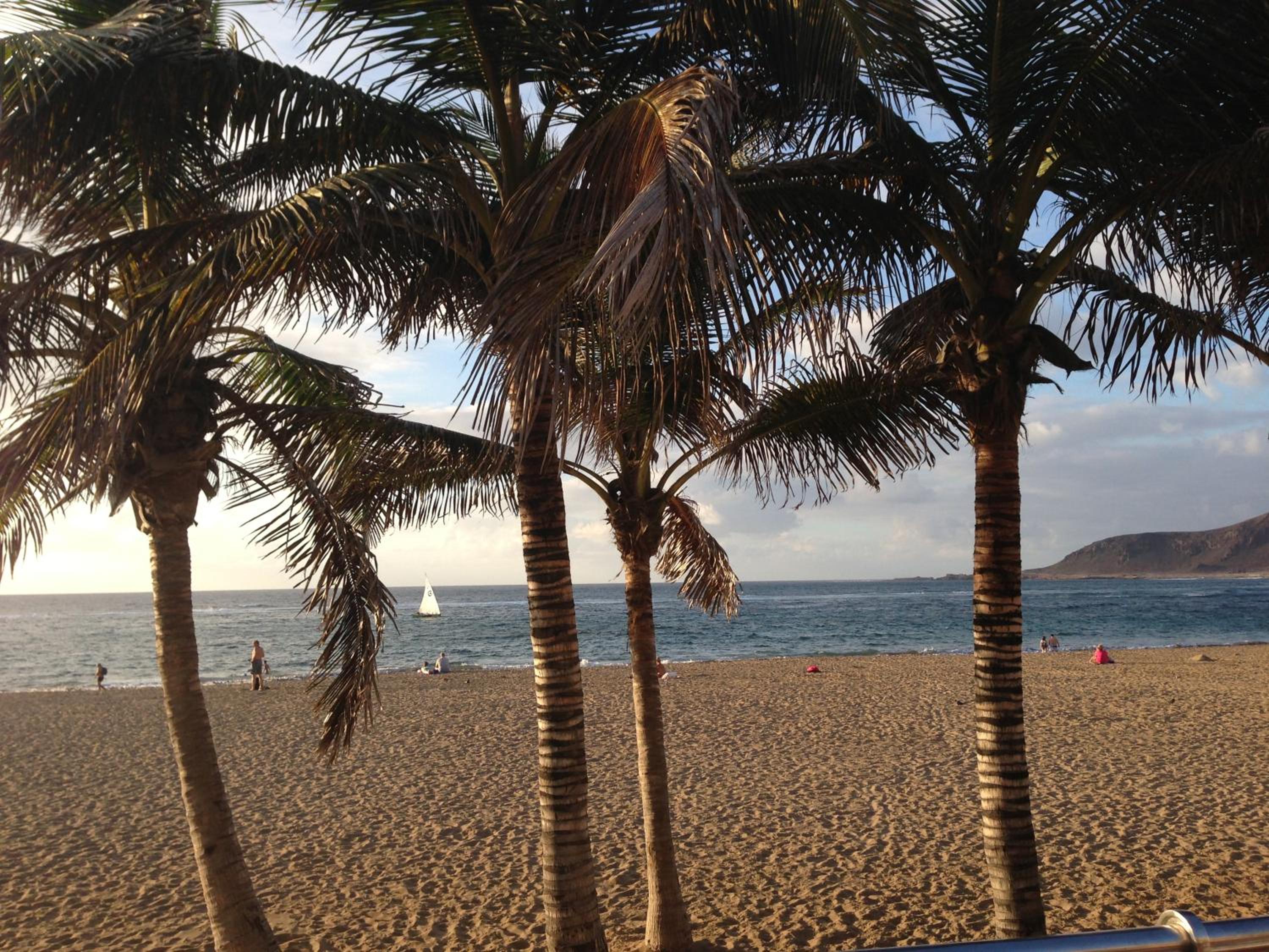 Apartamento Agaete Park