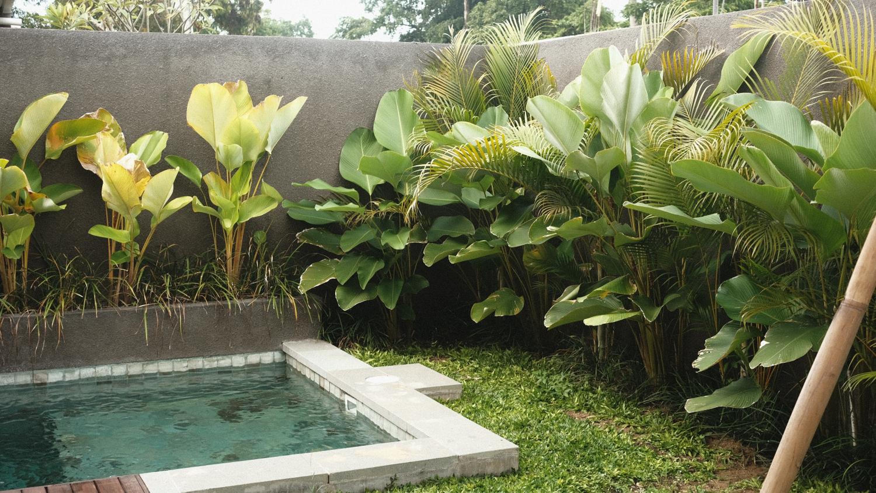 Davina Ubud Villas