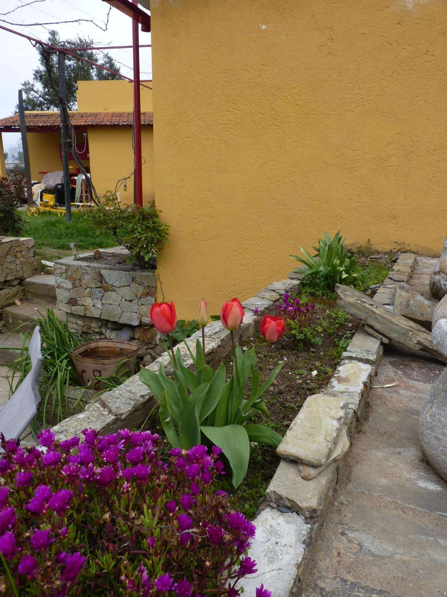 Photo 30