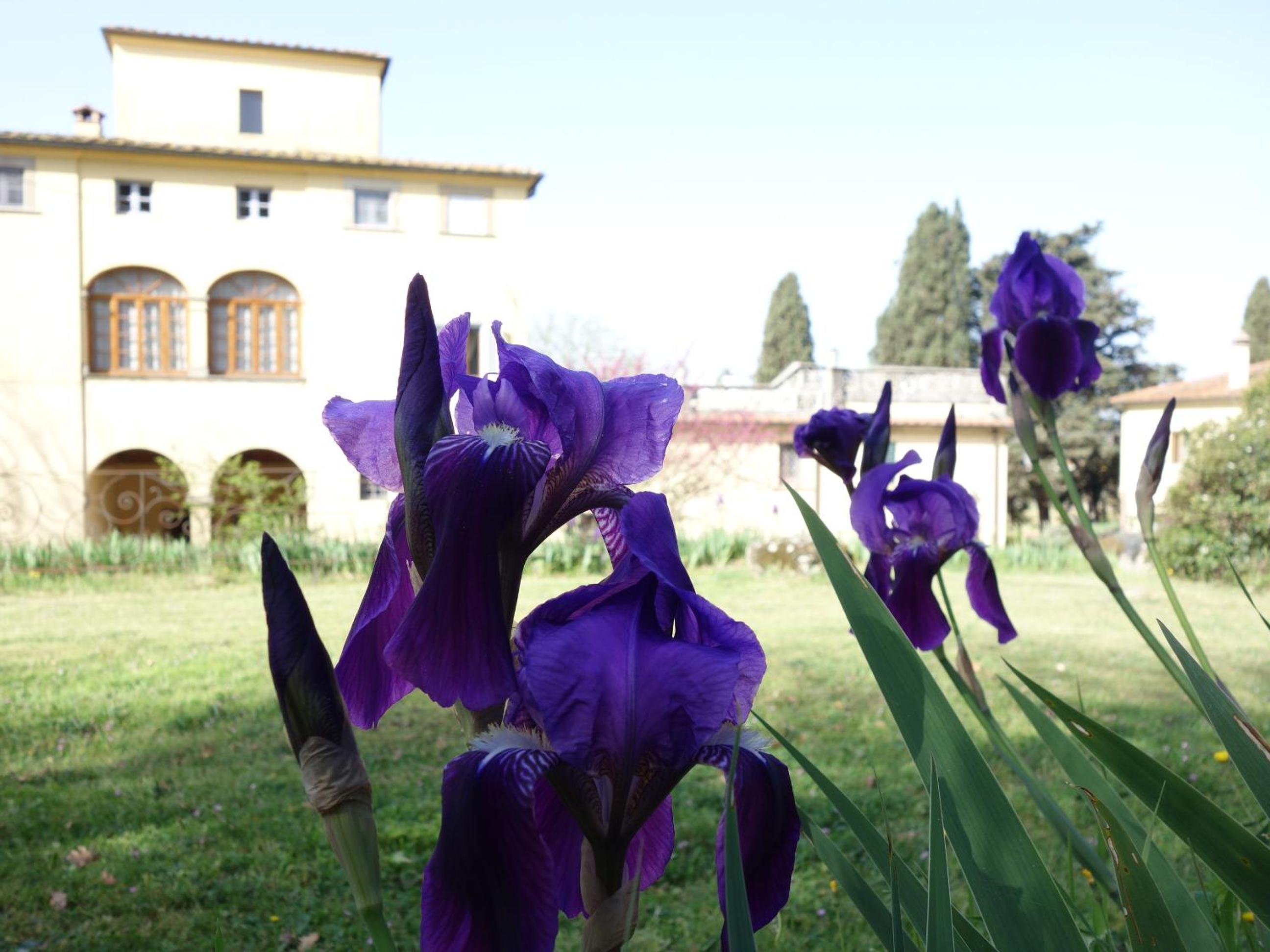 Bella di Ceciliano