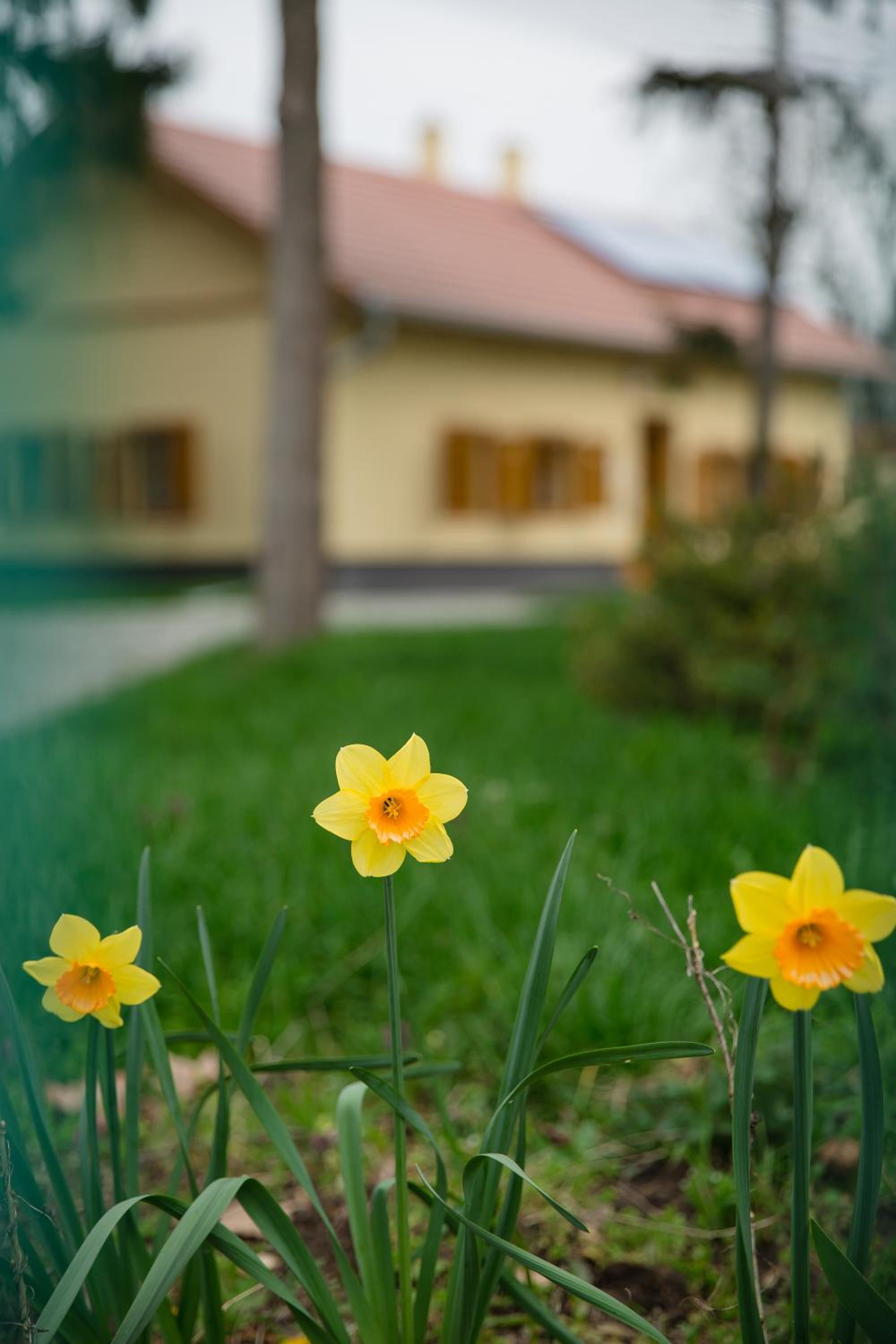 Török Vendégház view 2