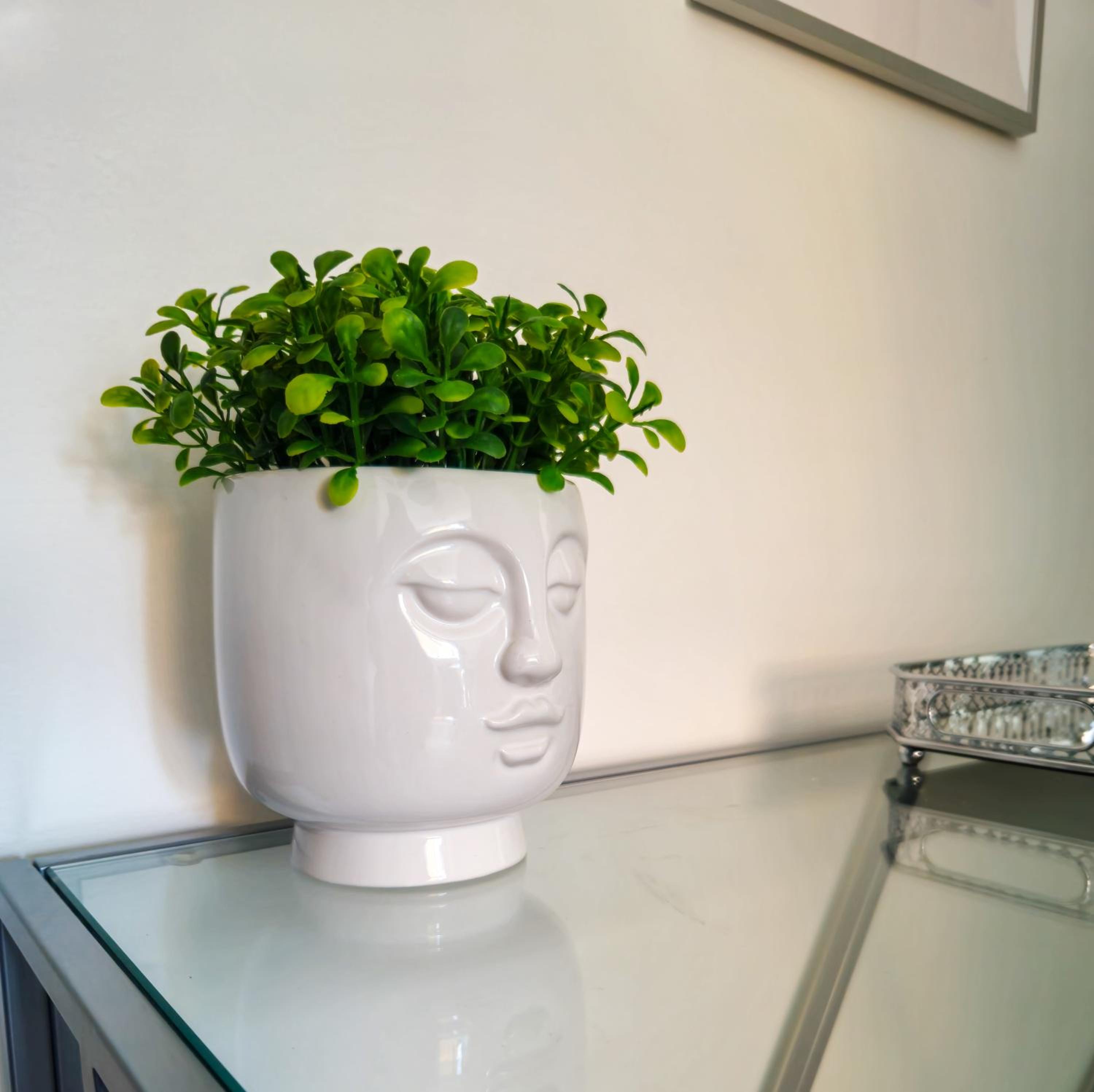 Morgagni Suites