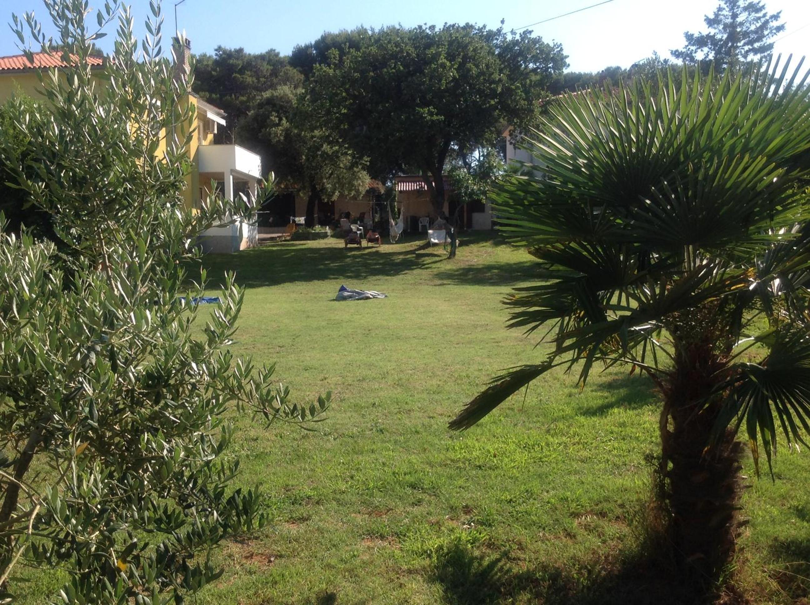 Photo 29