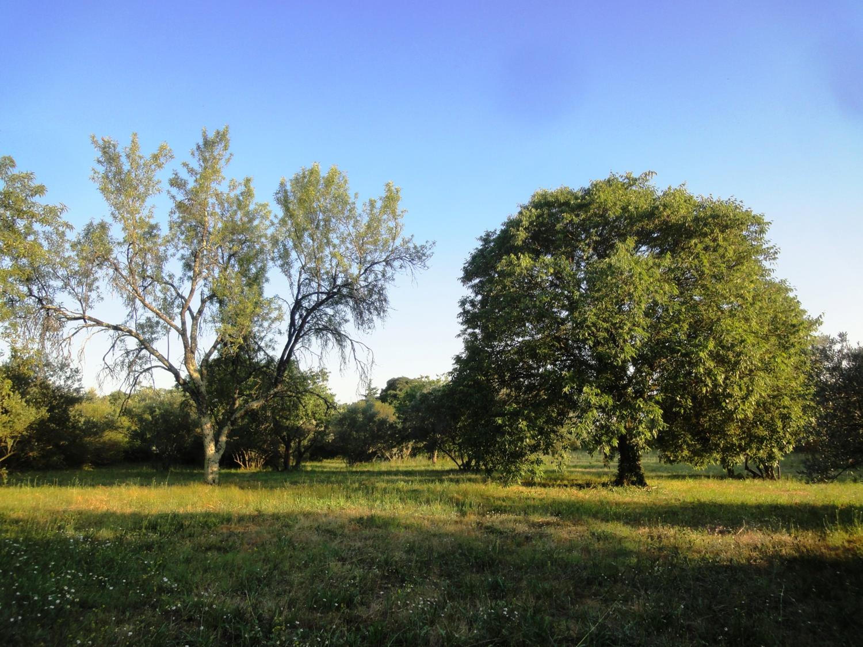 Photo 48