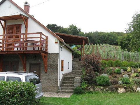 Zoltán Borháza view 4
