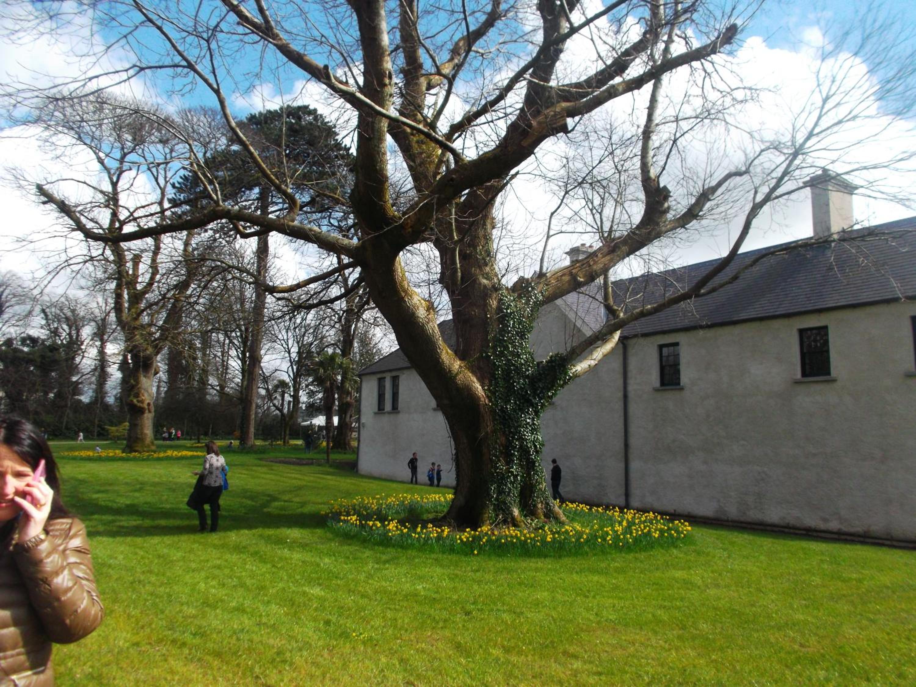 Photo 16