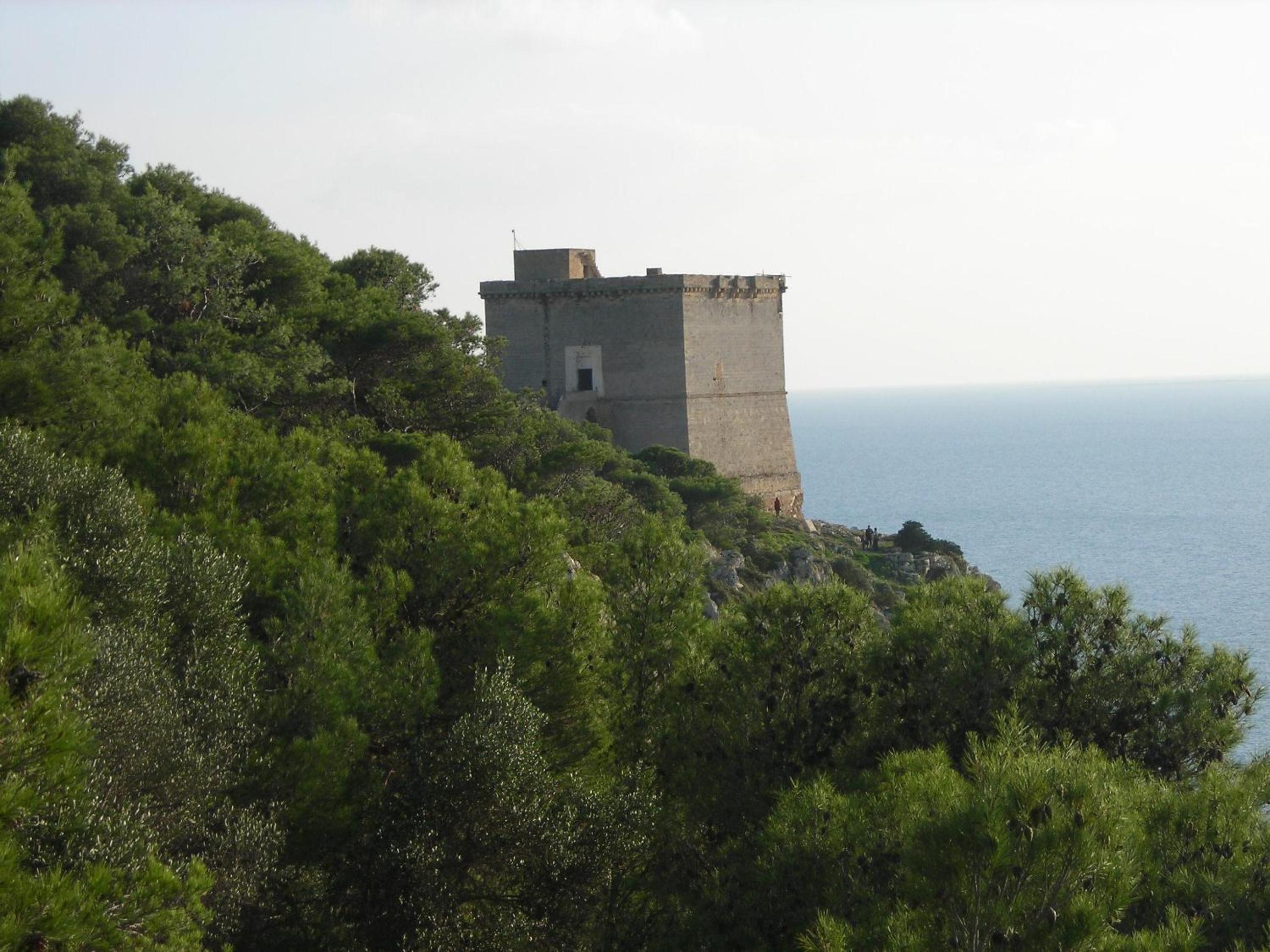 Photo 46