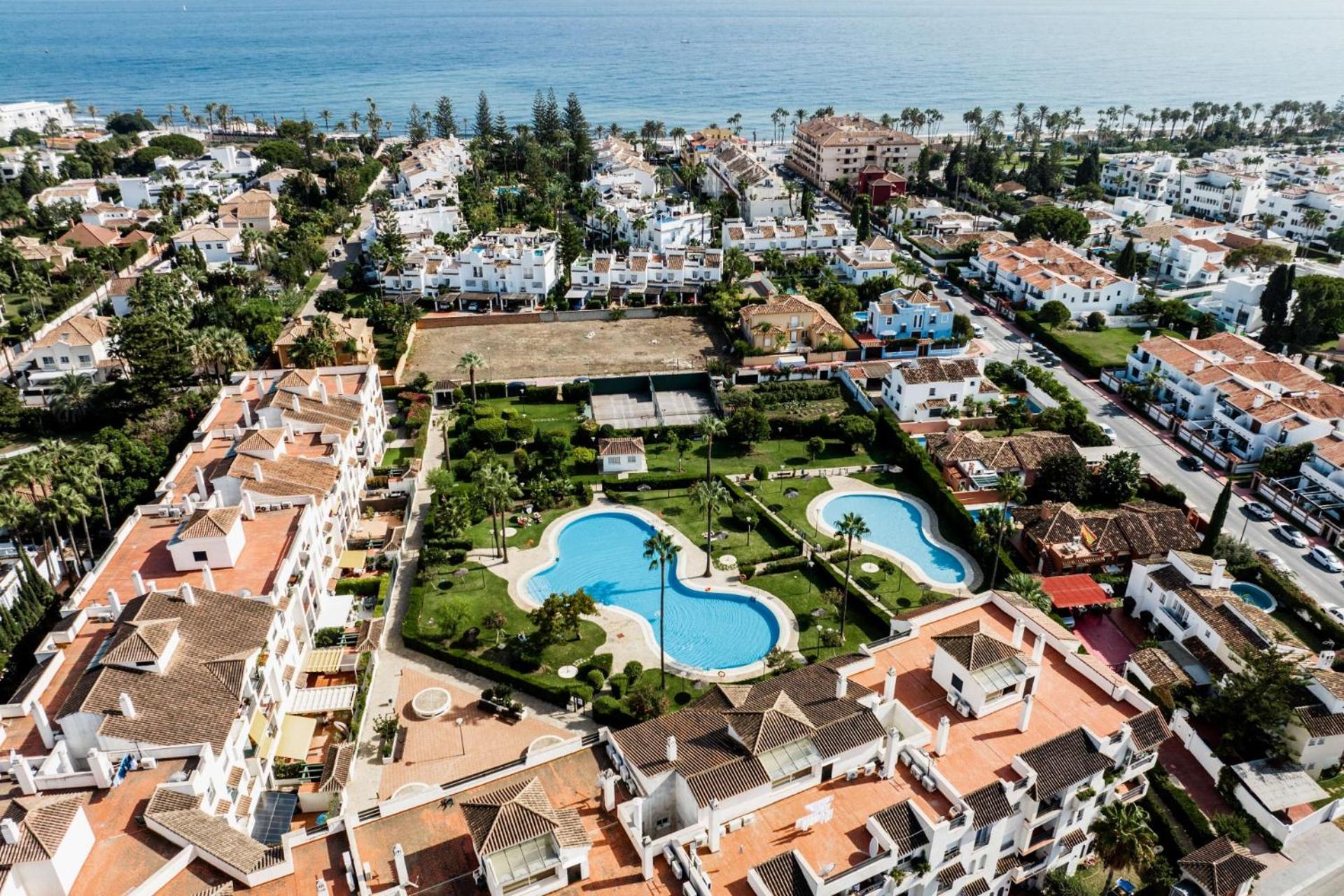 Marbella Petunias Lorcrisur