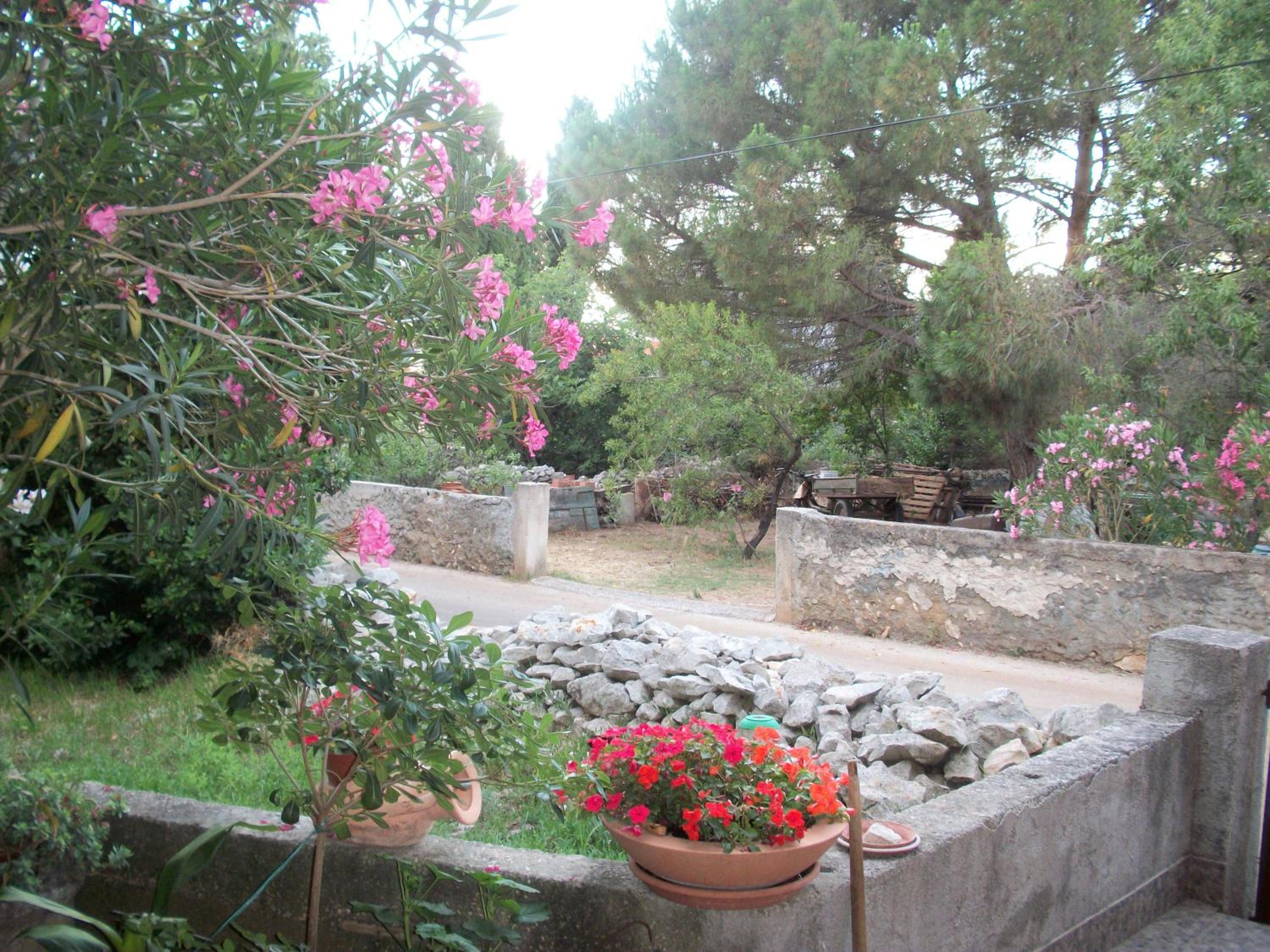 Photo 159