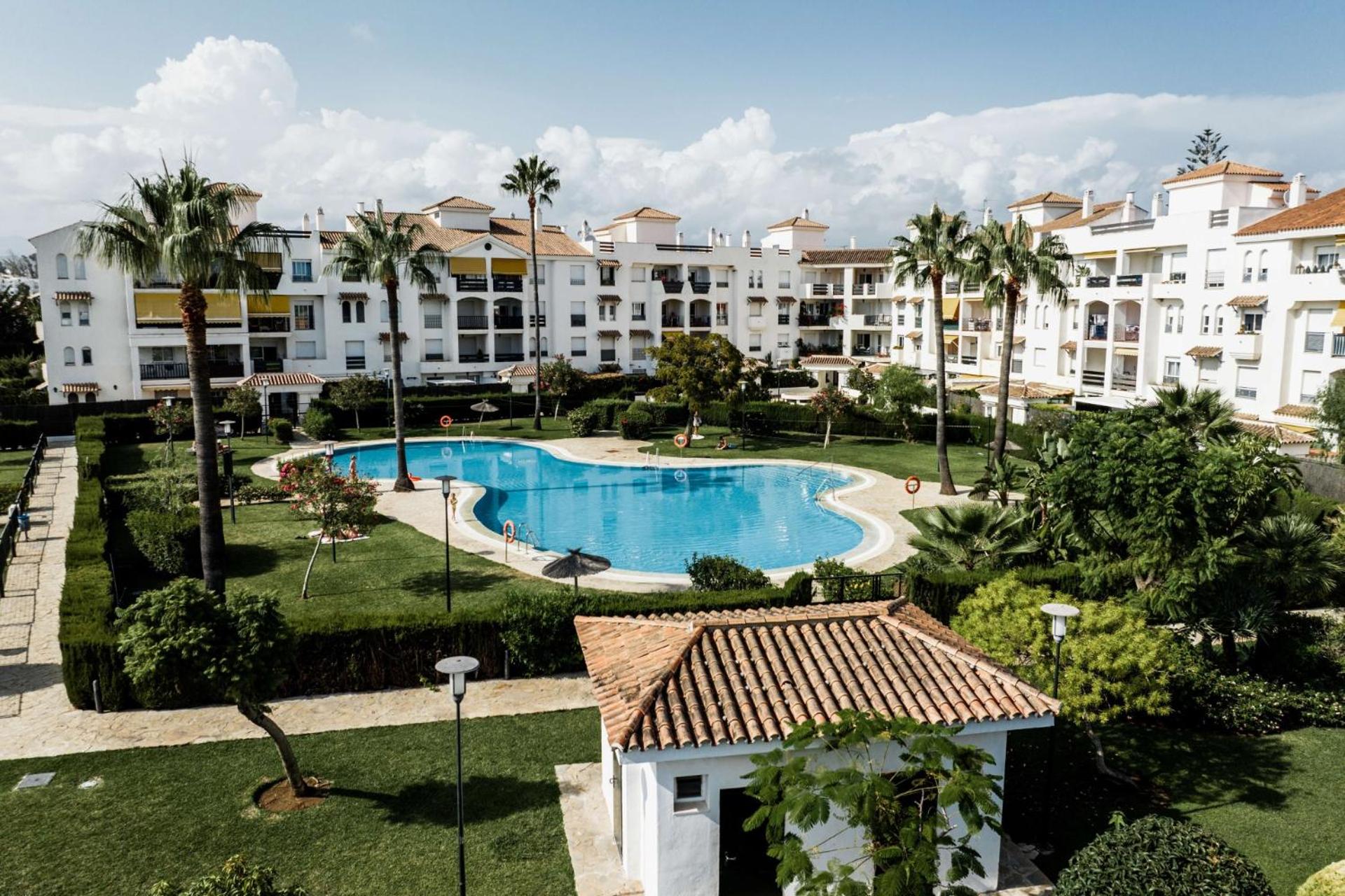Marbella Petunias Lorcrisur