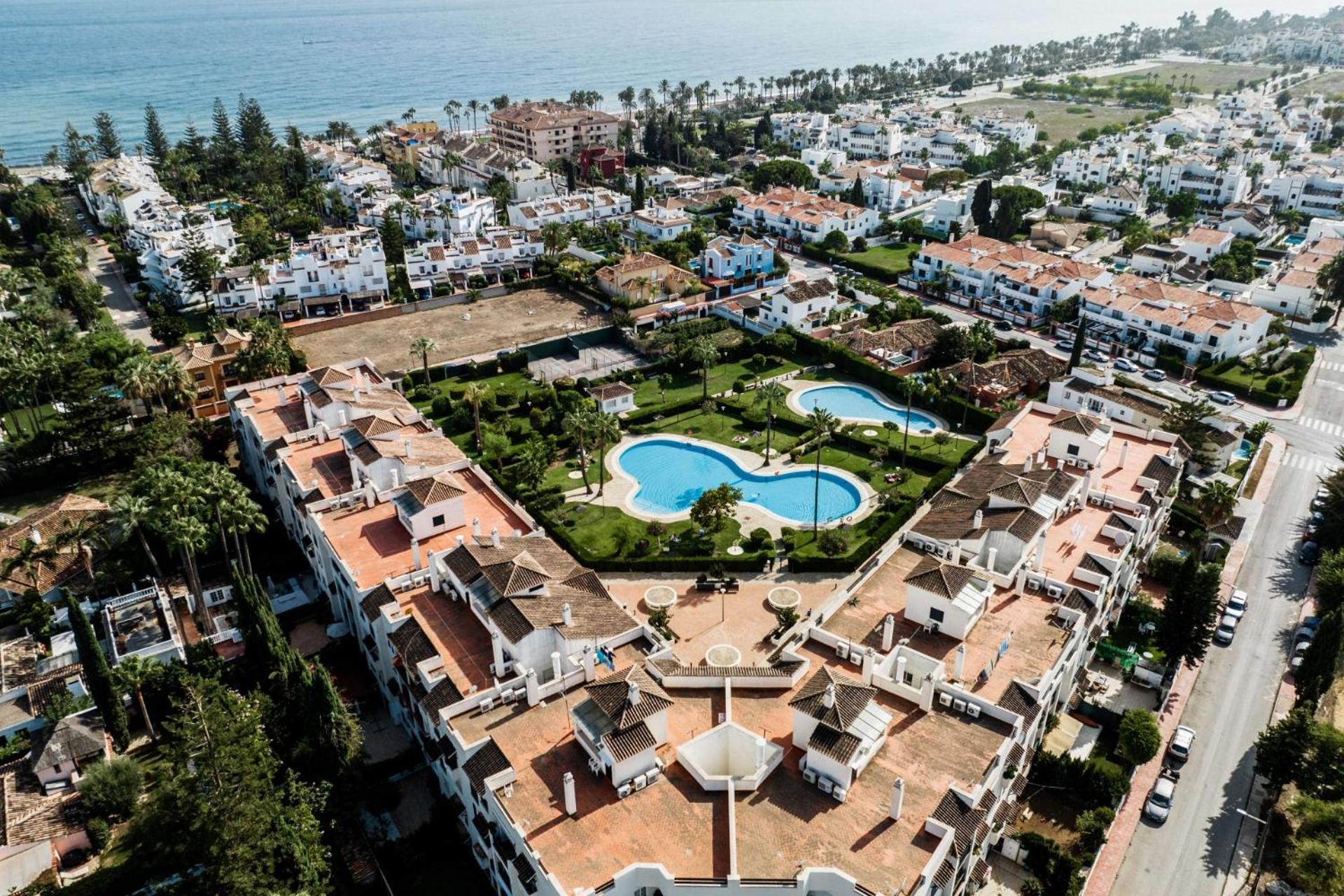 Marbella Petunias Lorcrisur