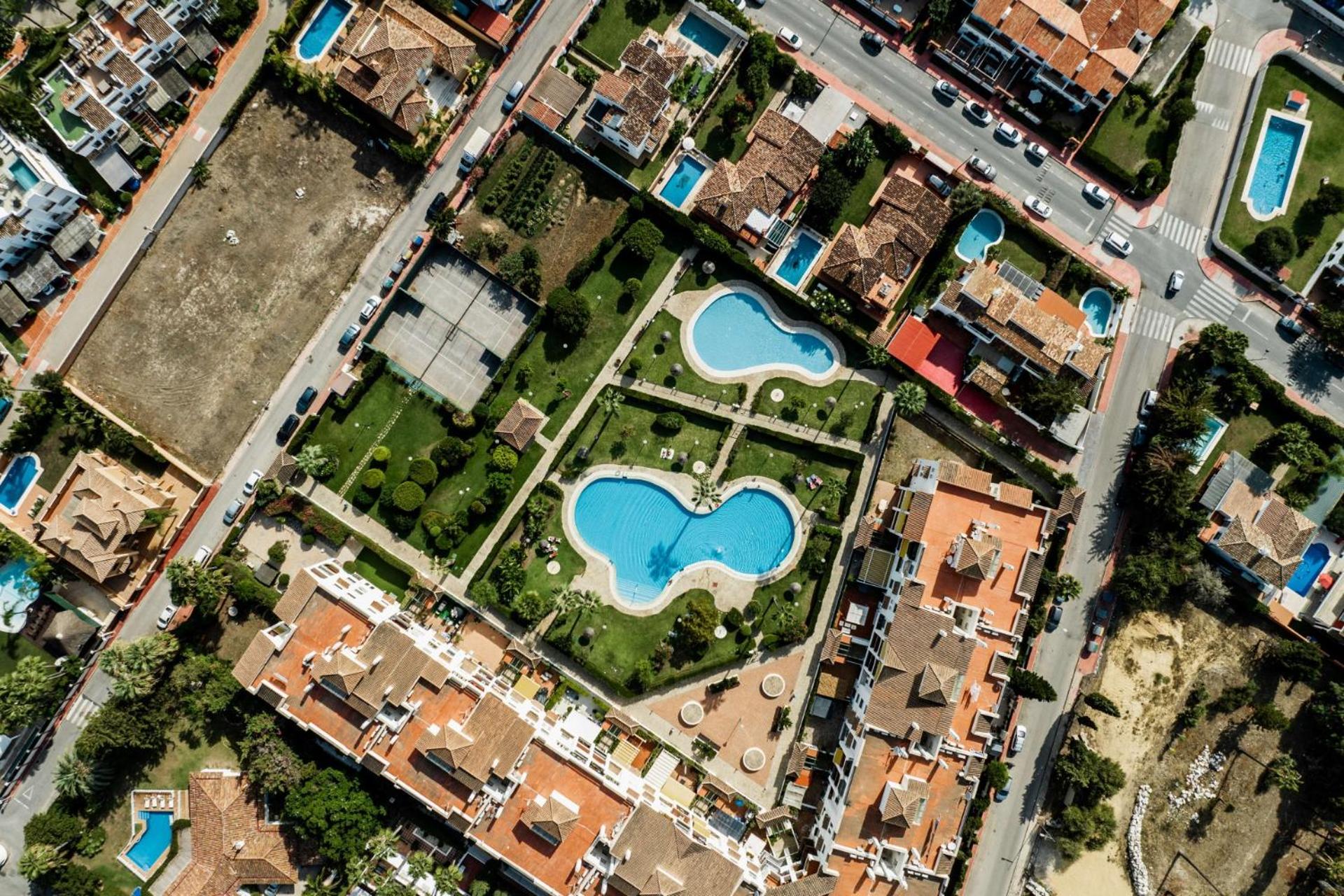 Marbella Petunias Lorcrisur