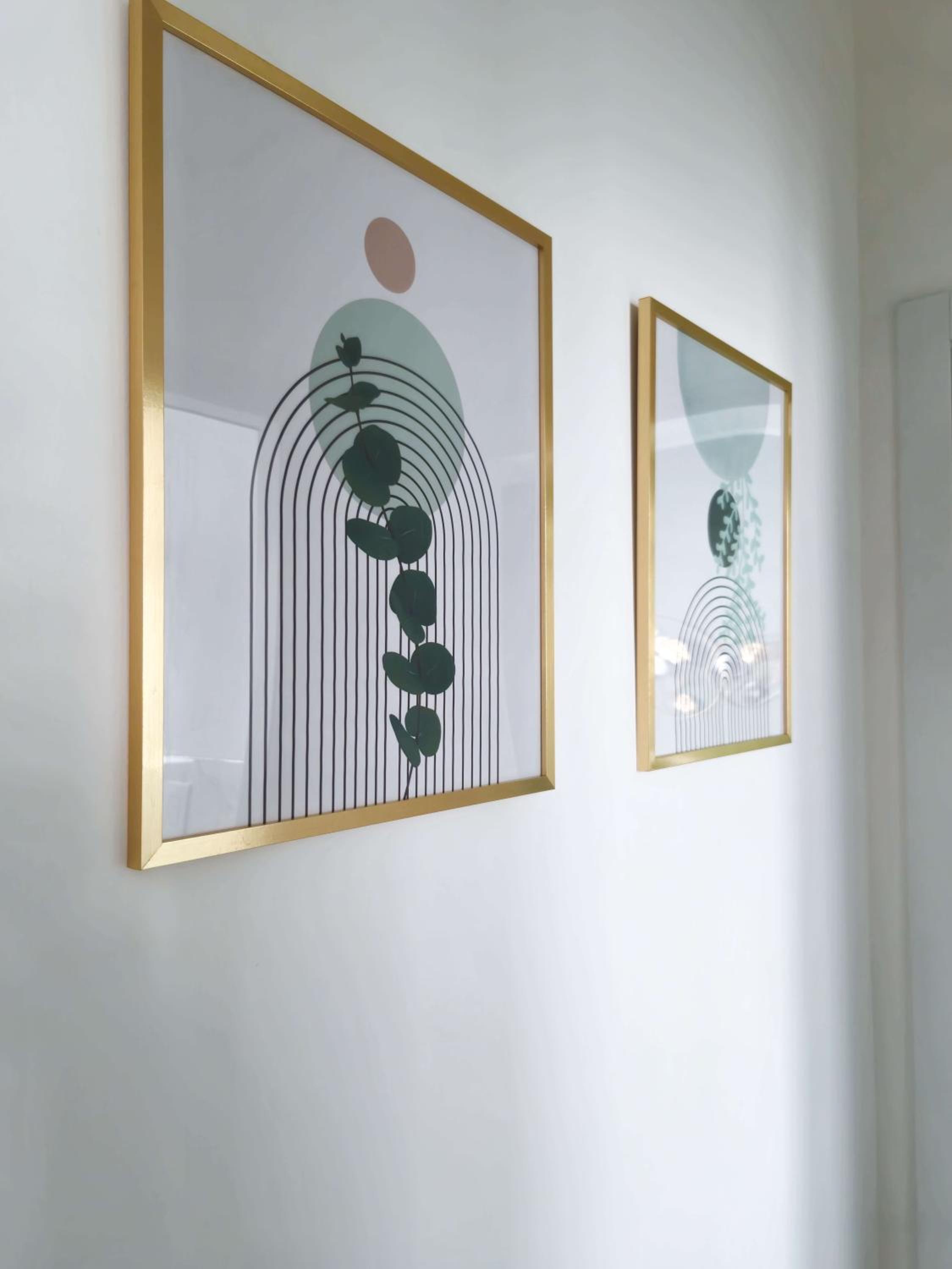 Morgagni Suites