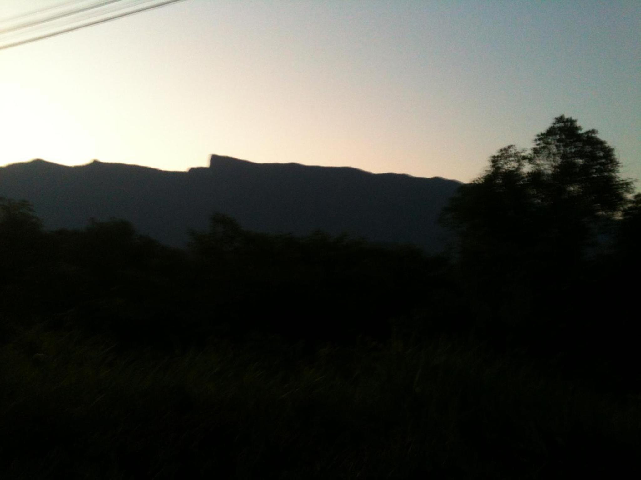 Photo 61
