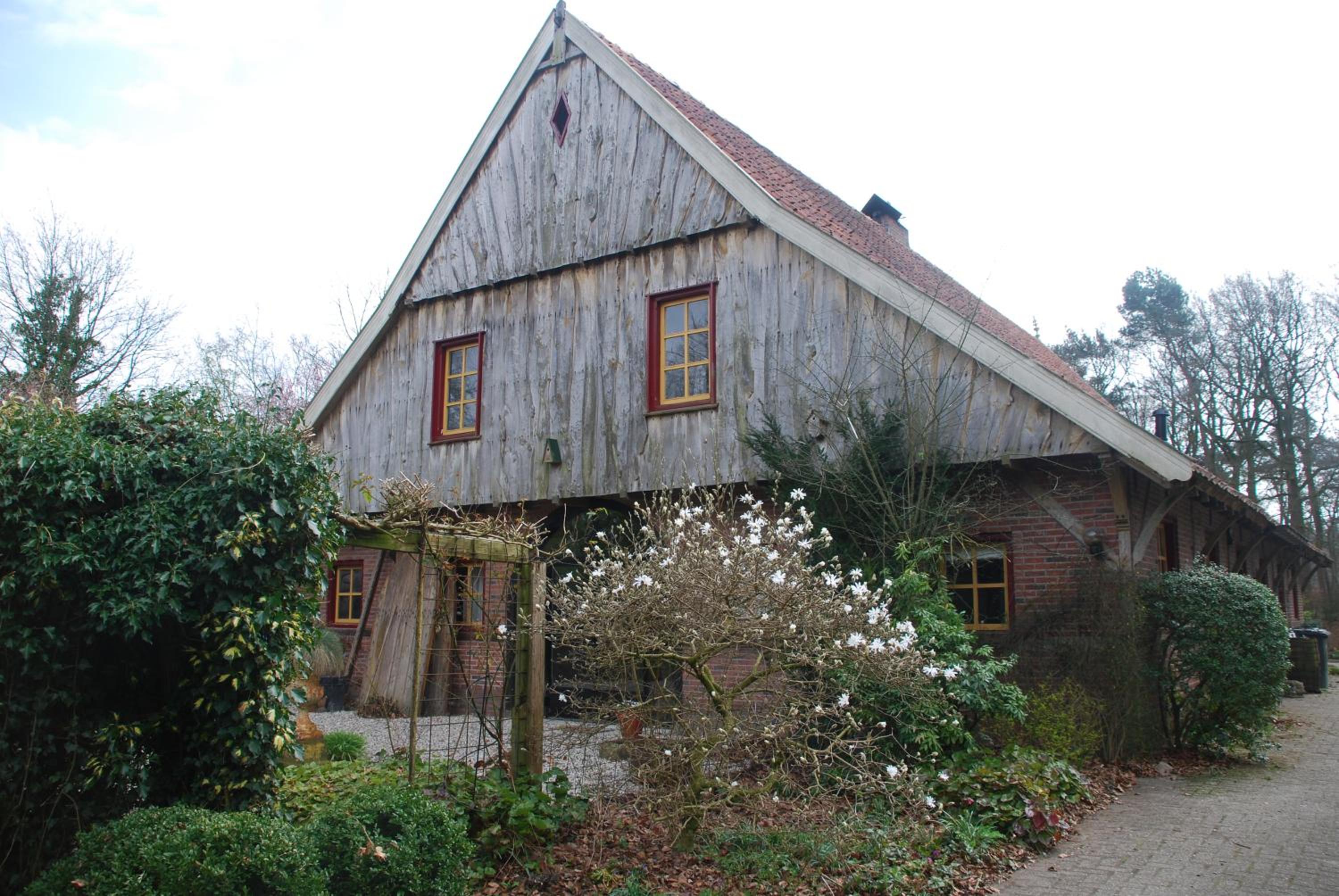 Photo 10