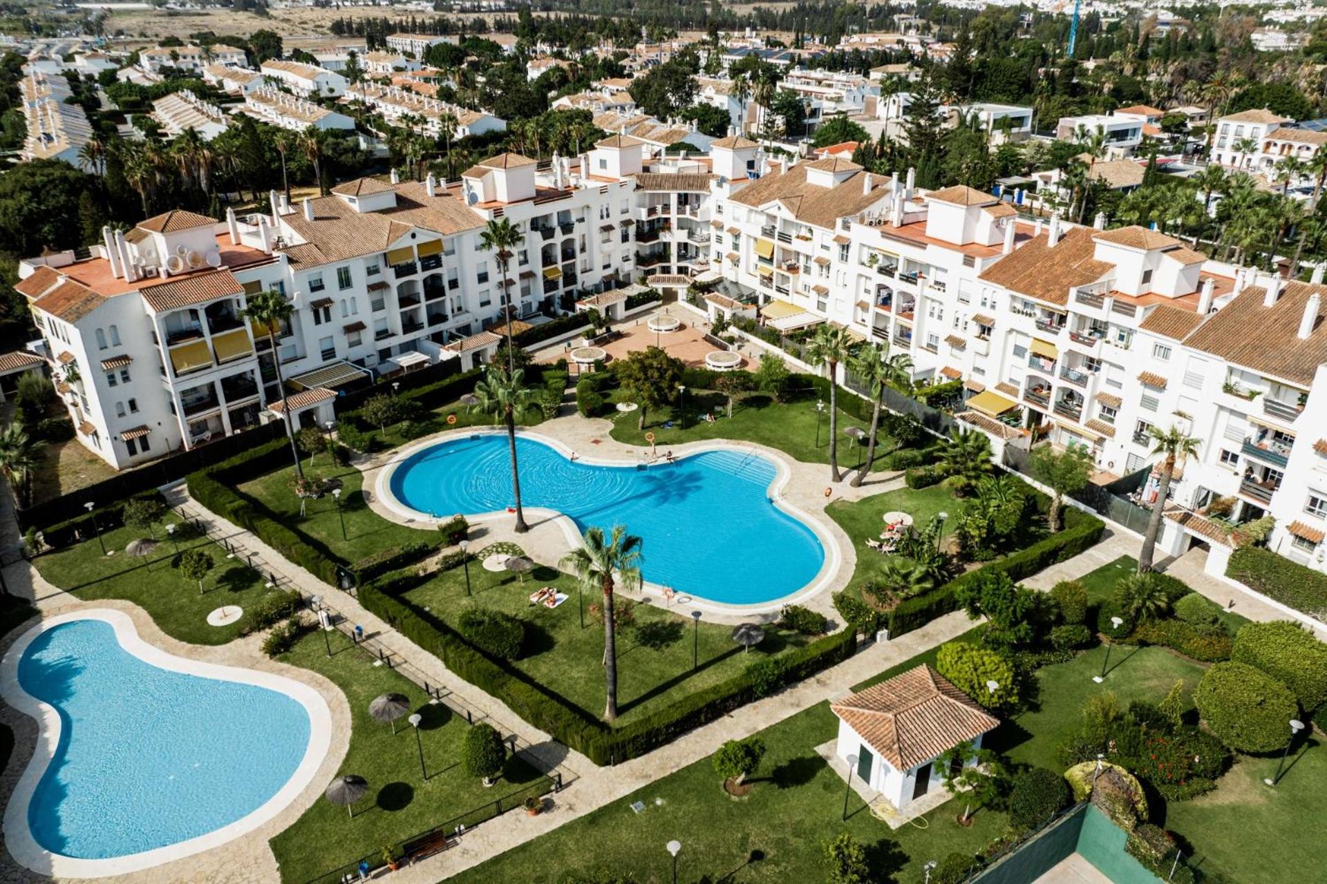 Marbella Petunias Lorcrisur