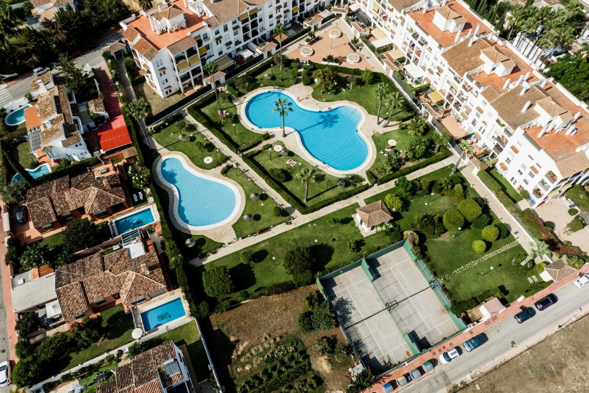 Marbella Petunias Lorcrisur