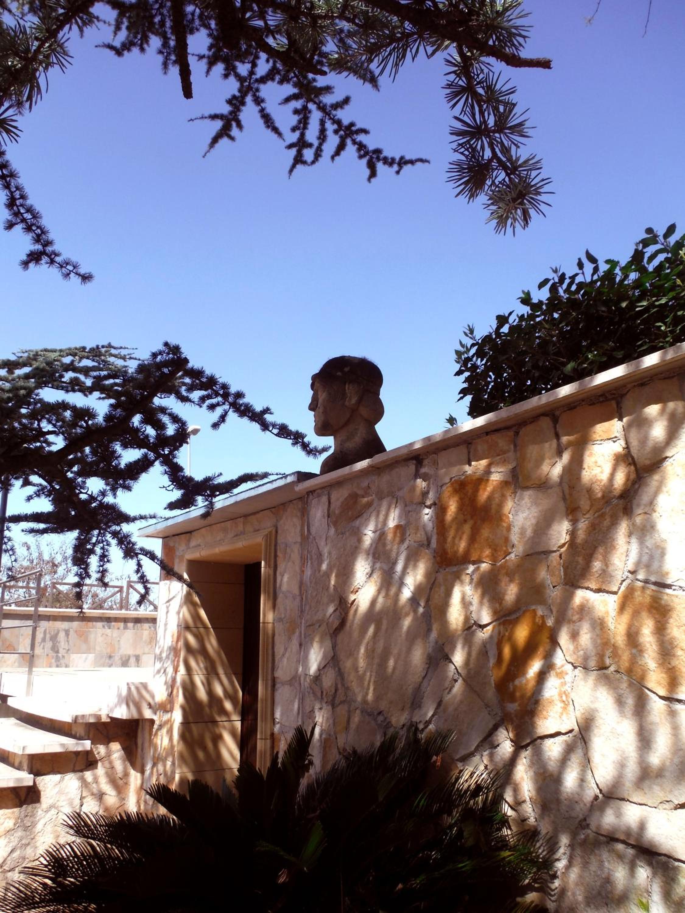 Photo 41