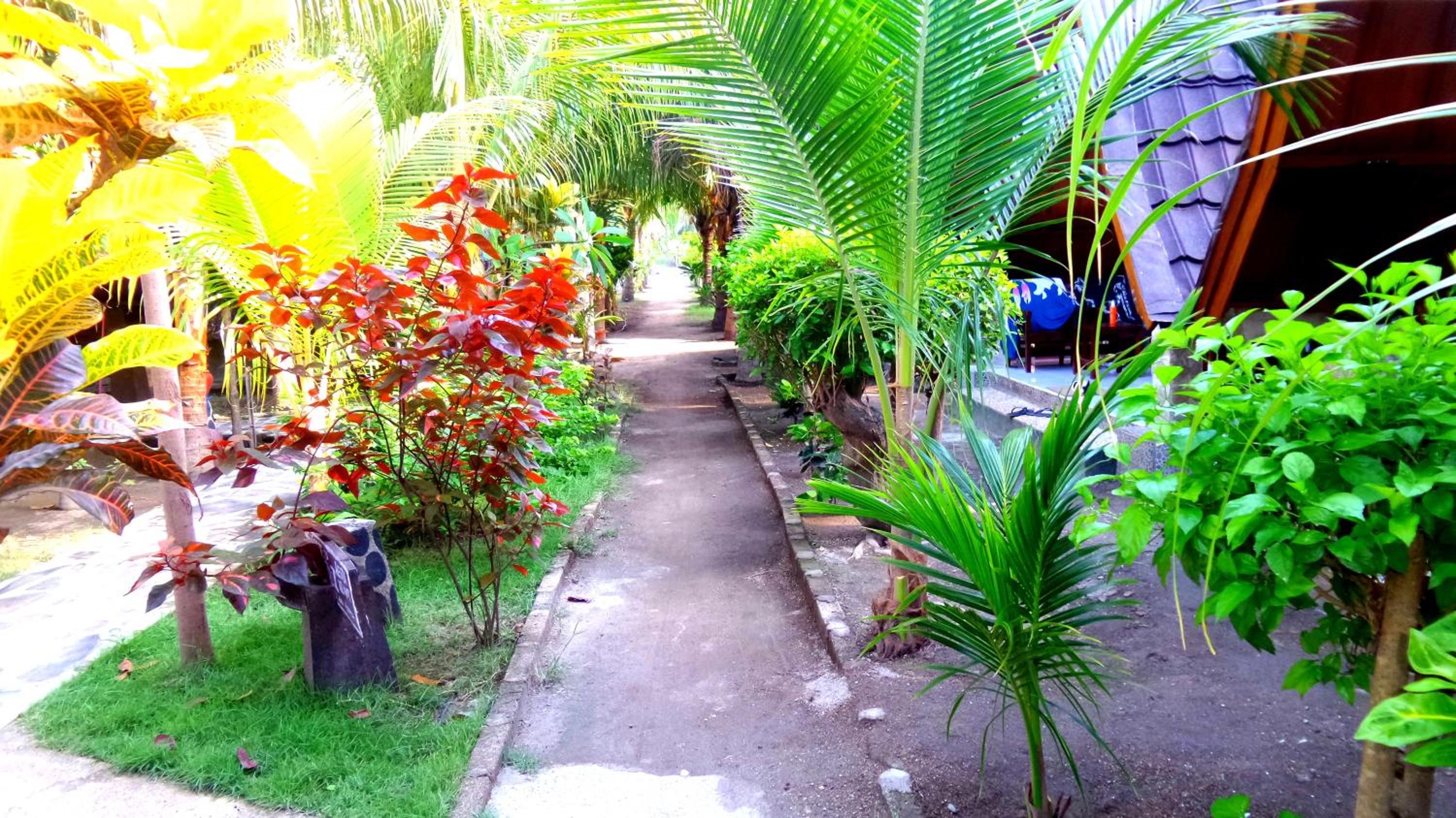 Photo 14