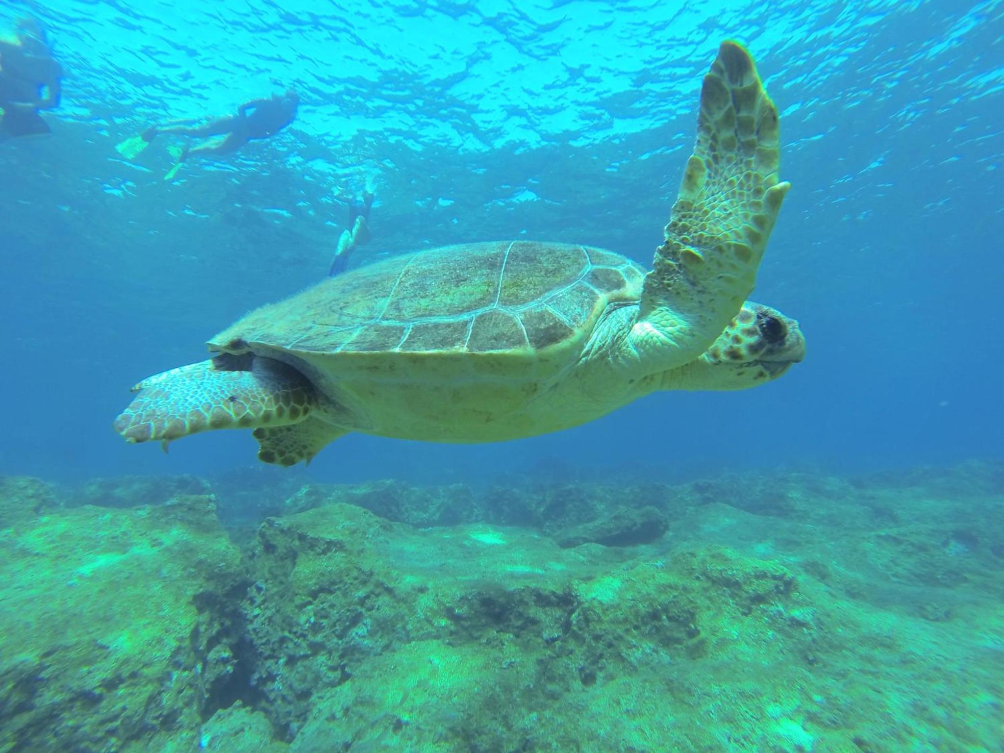 Villa Dundar - Kas Apartments - Image 108