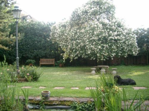 Bastgen Bed & Breakfast view 3