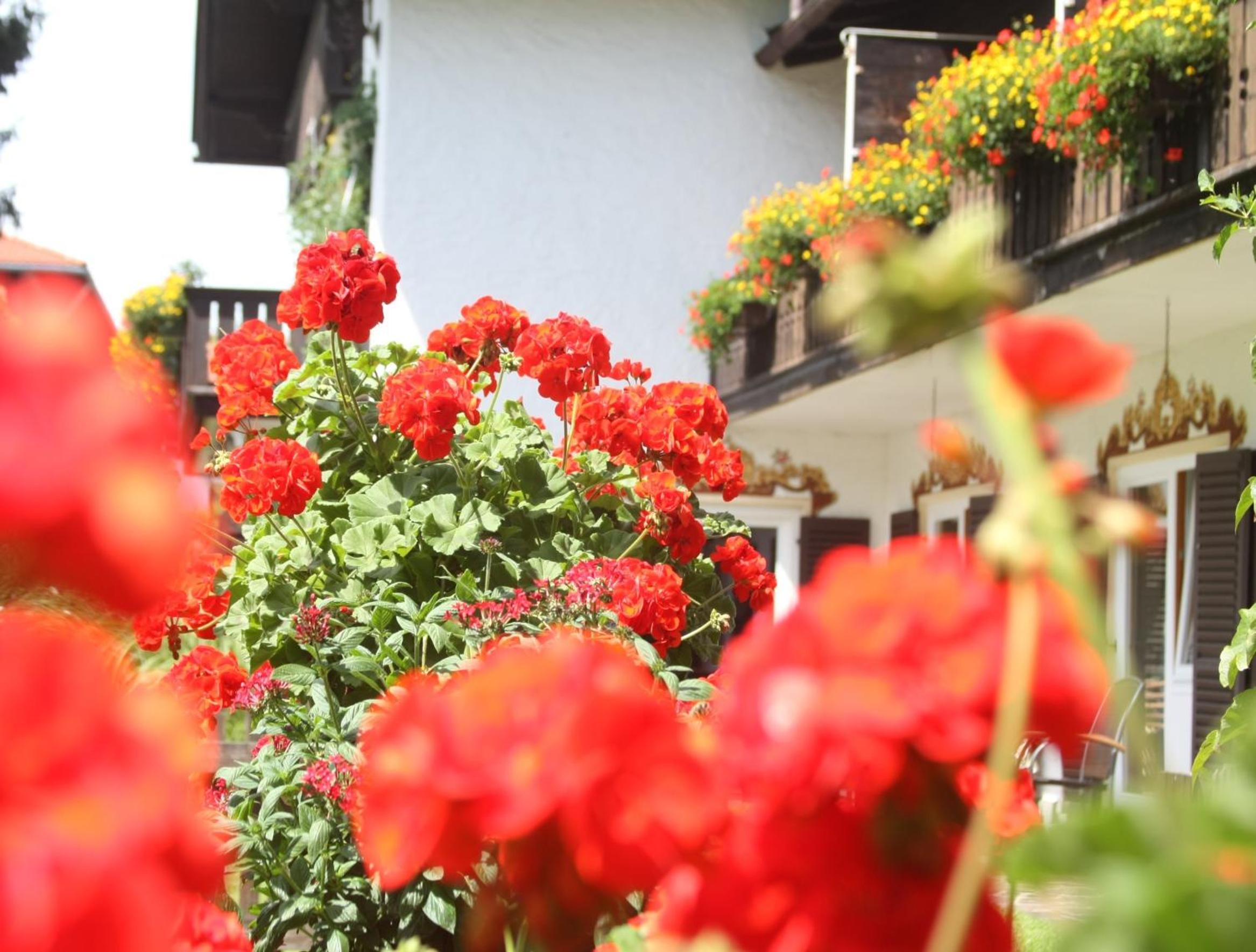 Pension Wendelstein - Property Image 40