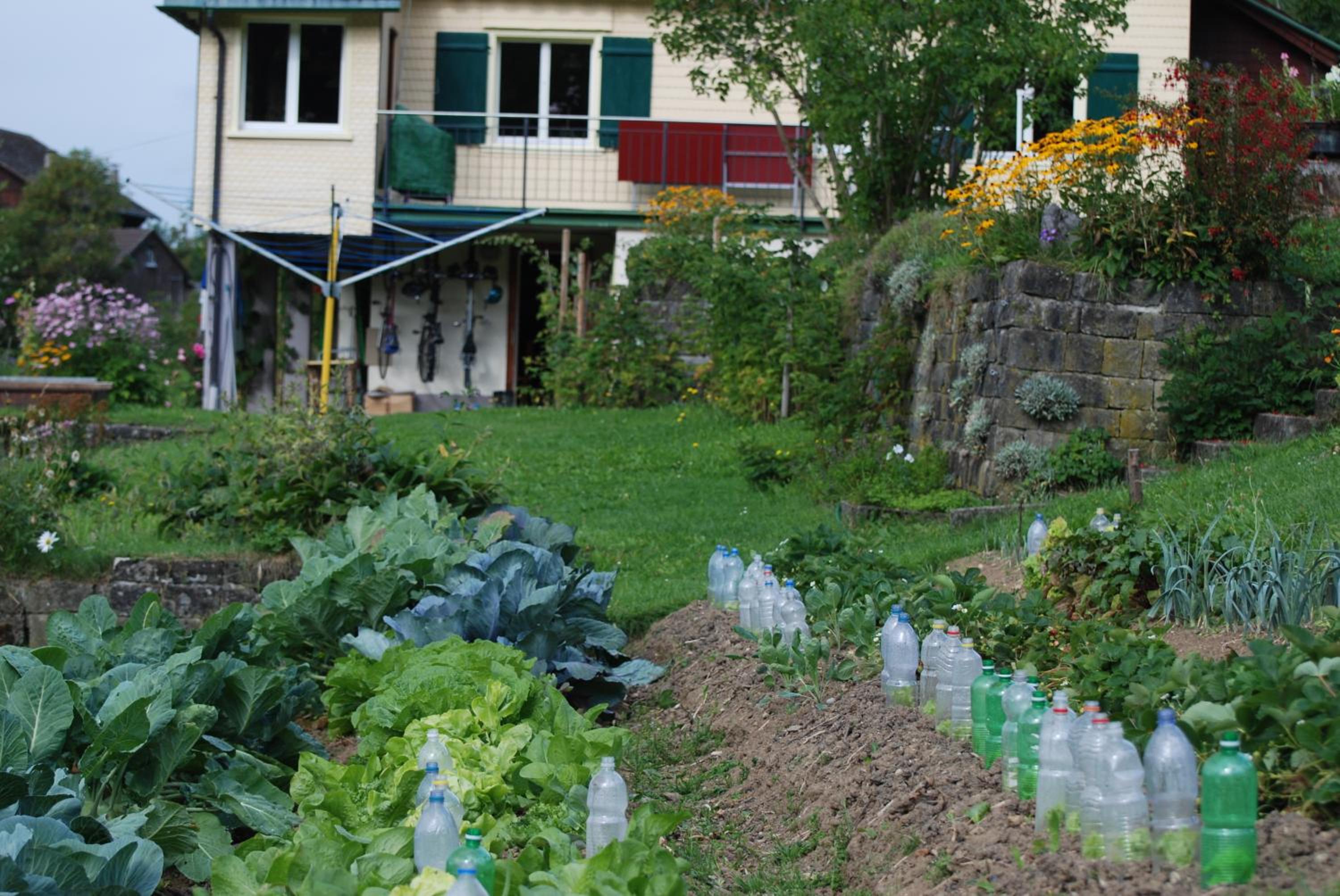 Sonnmatt Bergpension & Gesundheitszentrum