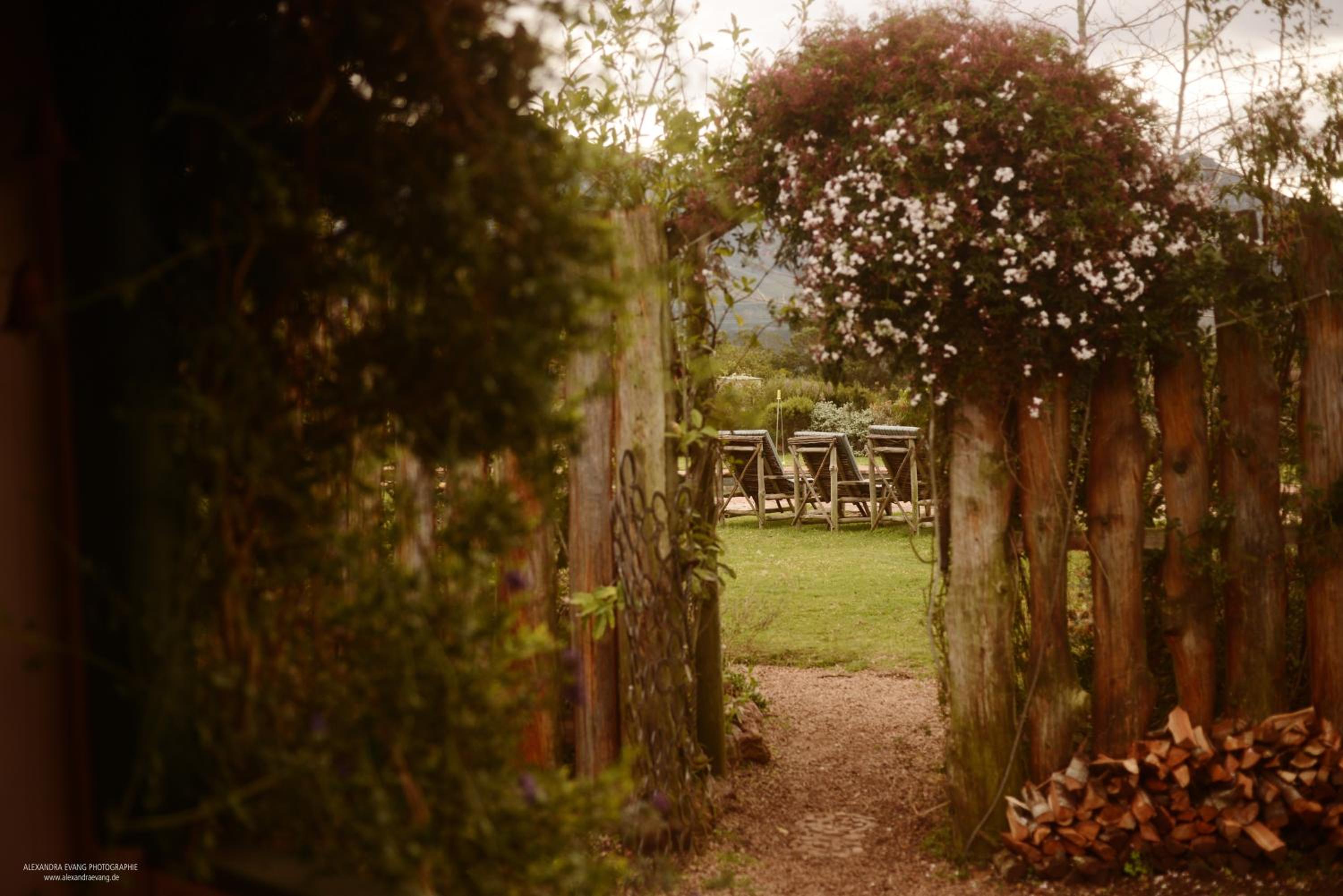 Outeniqua Moon Percheron Stud Farm