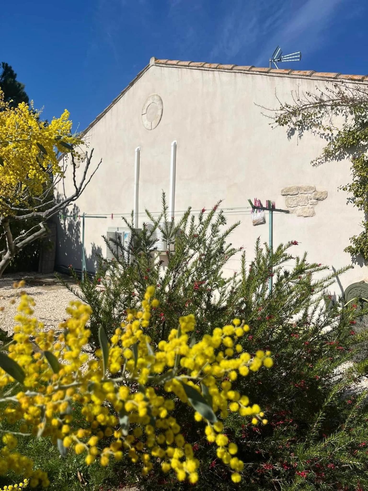 L'écrin de Camargue