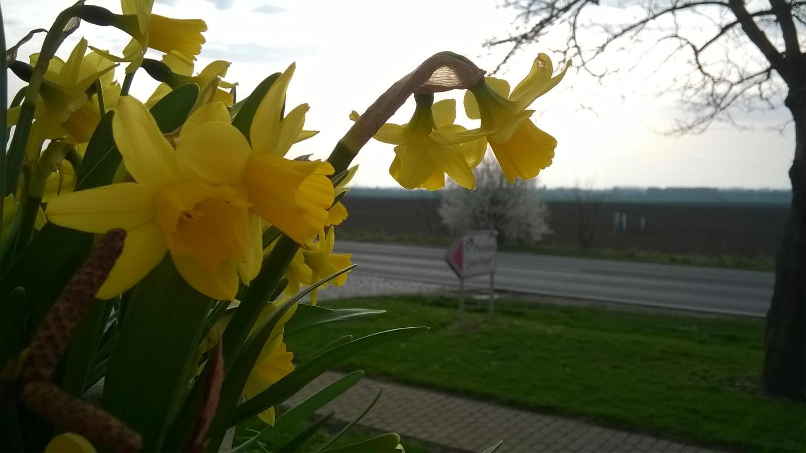 Pension Zum Engel